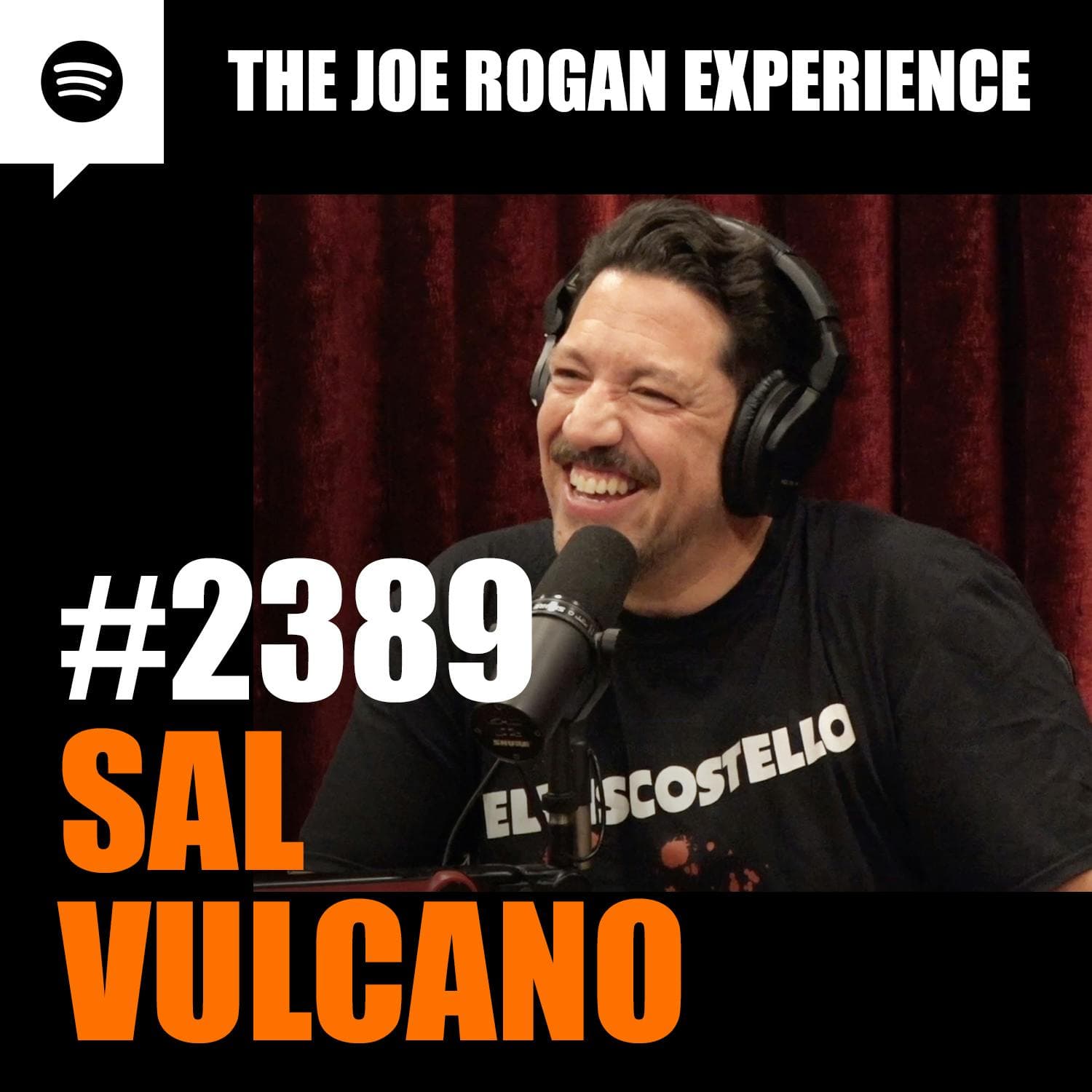 #2389 - Sal Vulcano artwork