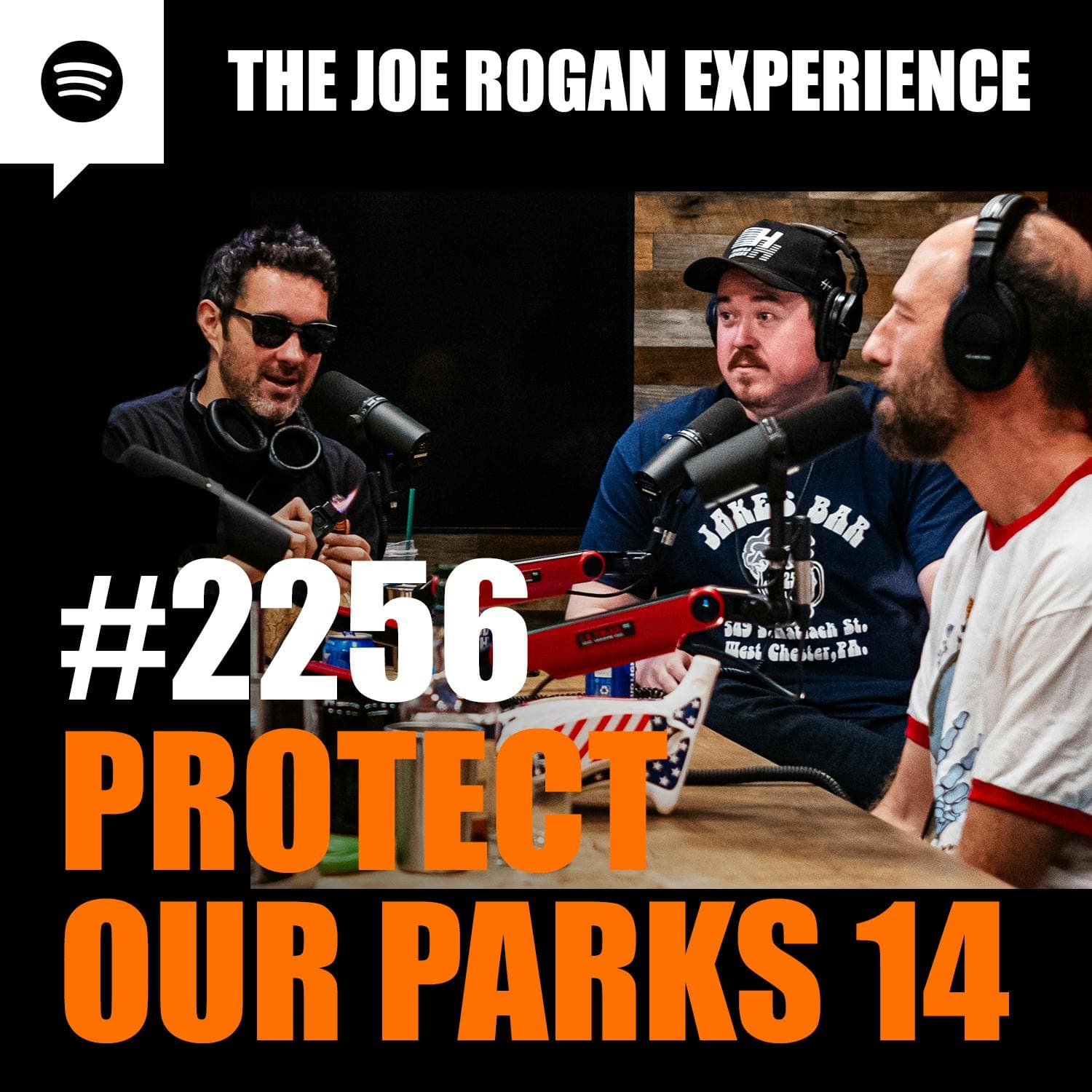 #2256 - Protect Our Parks 14 artwork