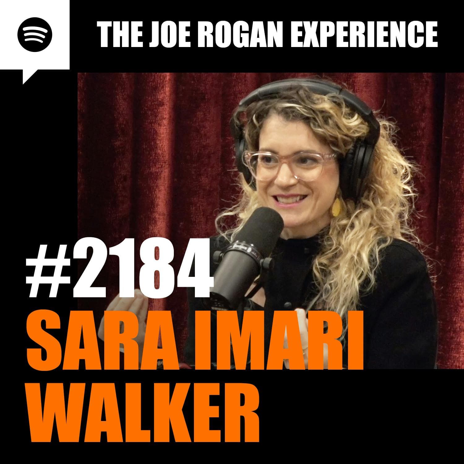 #2184 - Sara Imari Walker artwork
