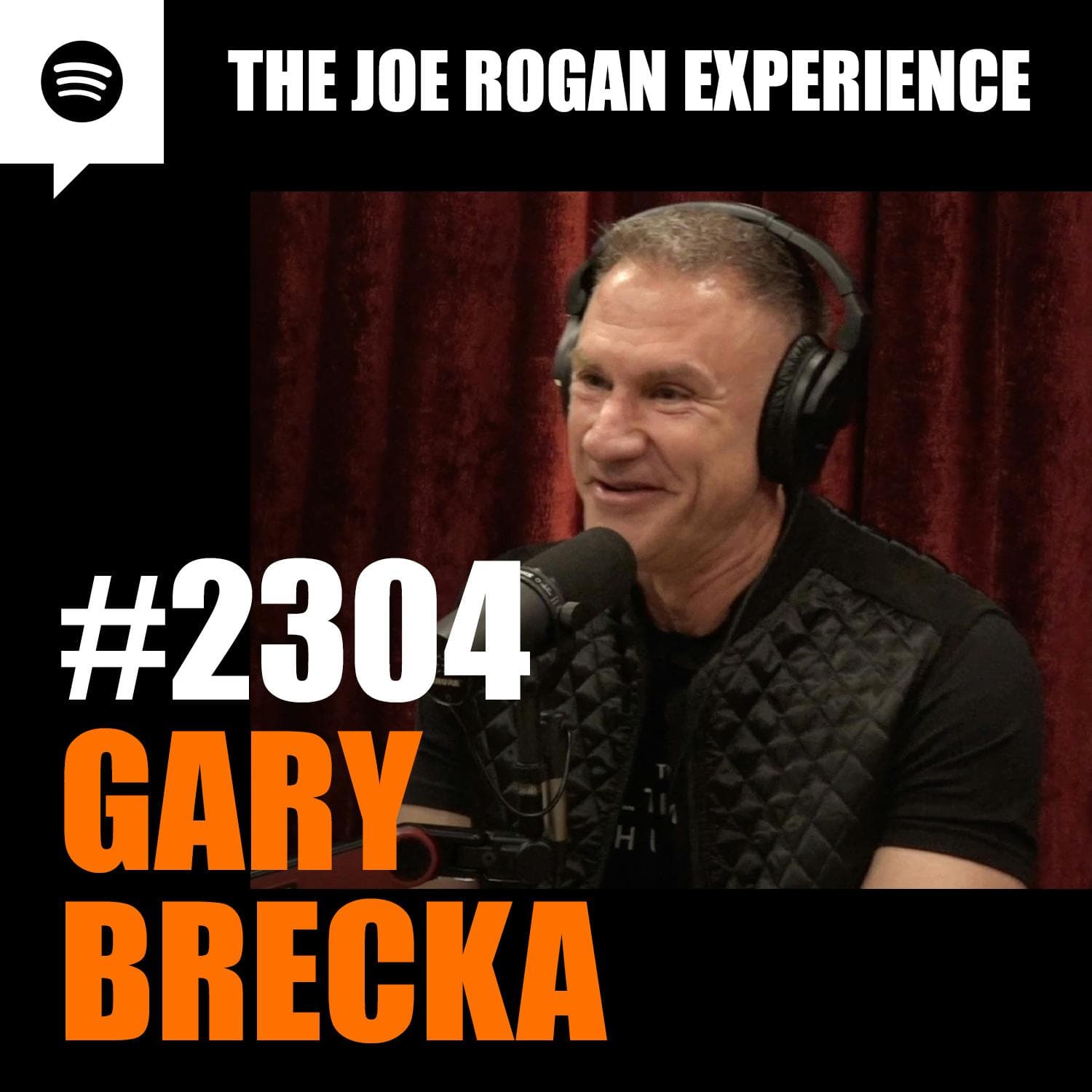 #2304 - Gary Brecka artwork