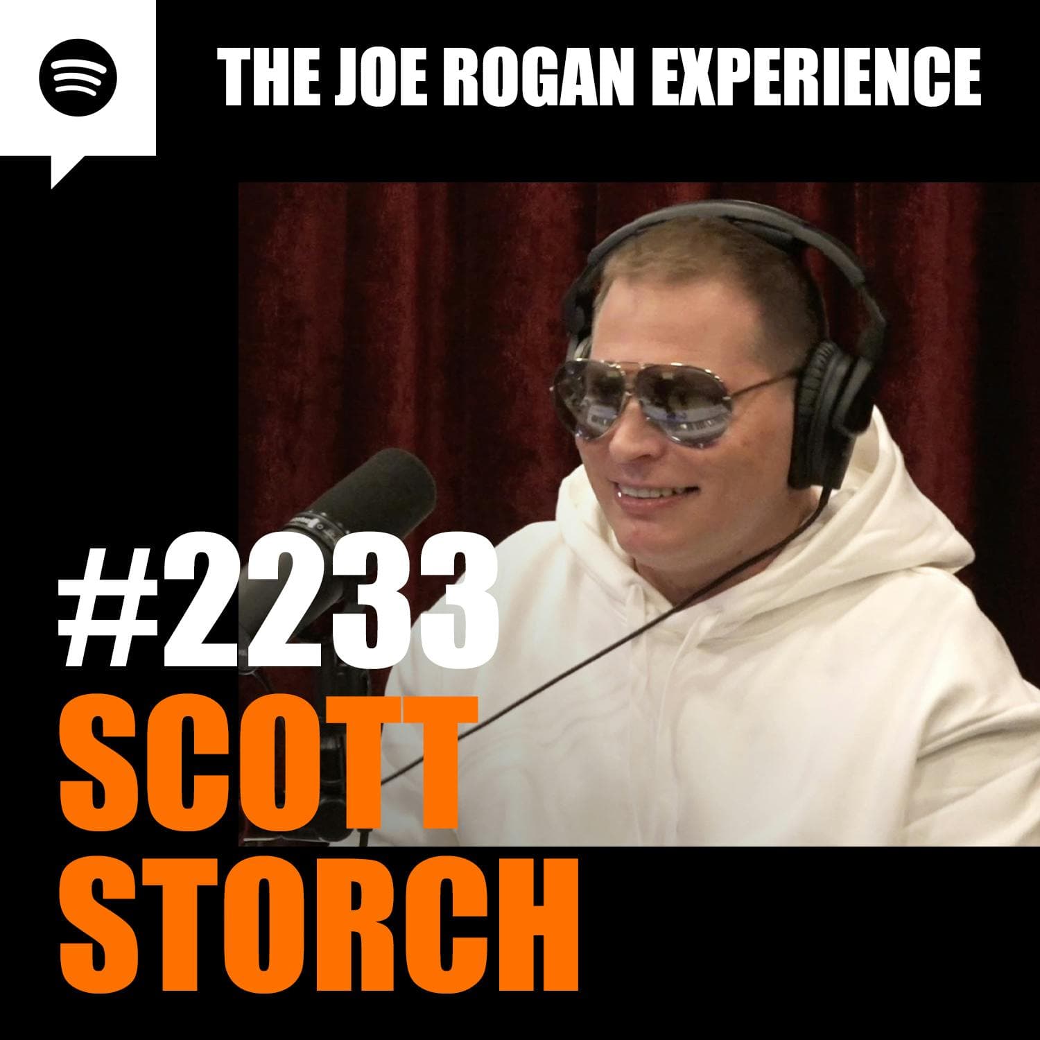 #2233 - Scott Storch artwork