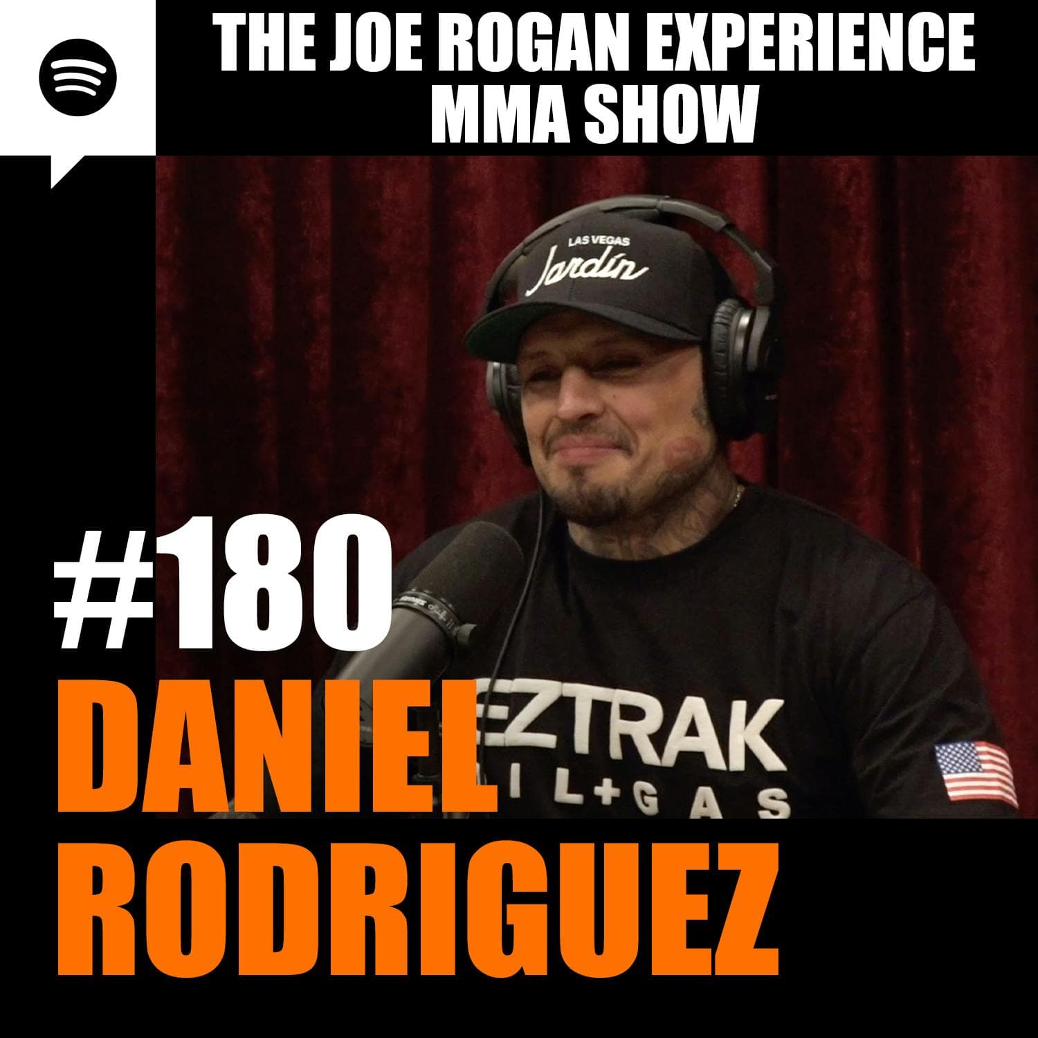 JRE MMA Show #180 with Daniel Rodriguez artwork