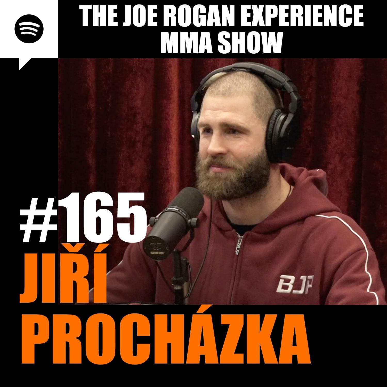 JRE MMA Show #165 with Jiří Procházka artwork