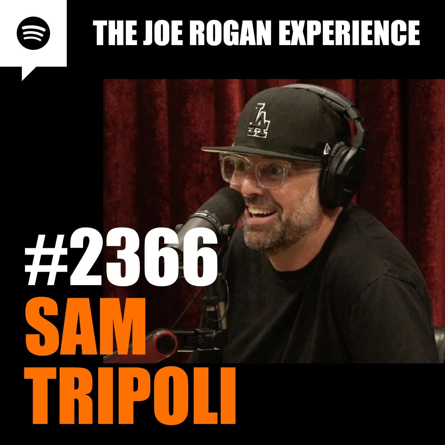 #2366 - Sam Tripoli artwork