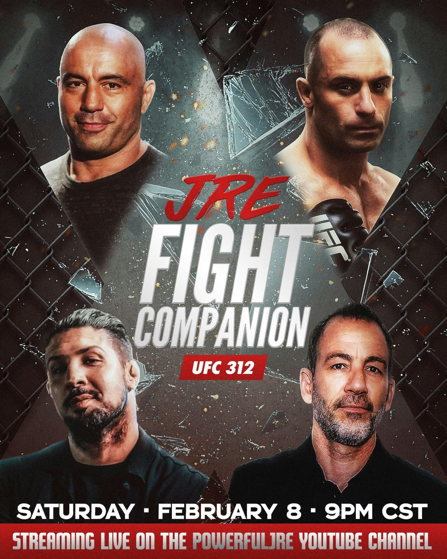 Fight Companion - February 8, 2025 artwork