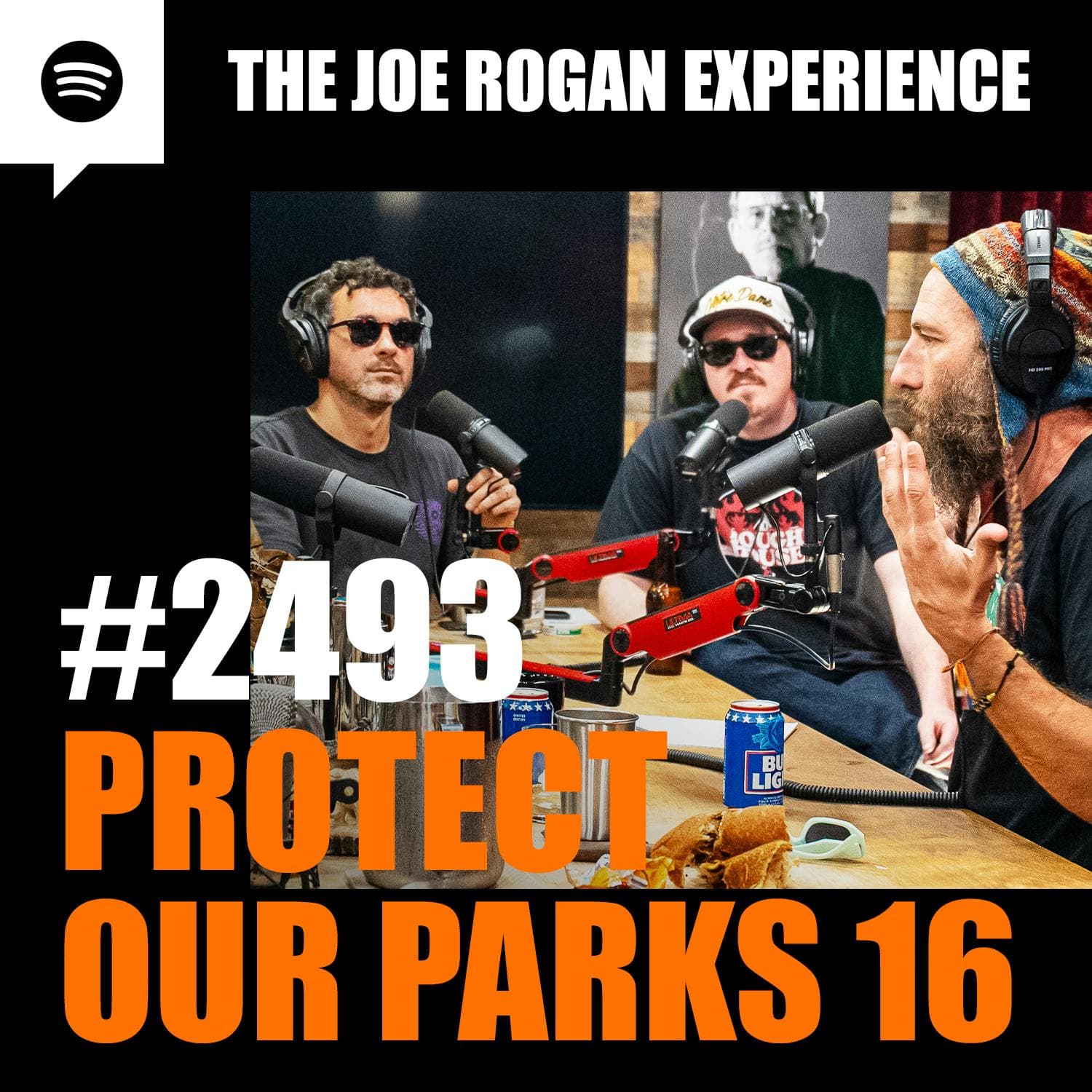 #2493 - Protect Our Parks 16 artwork