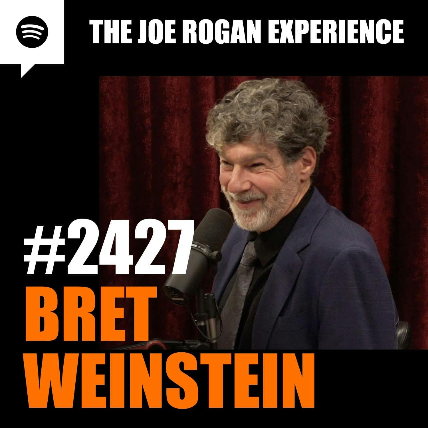 #2427 - Bret Weinstein artwork