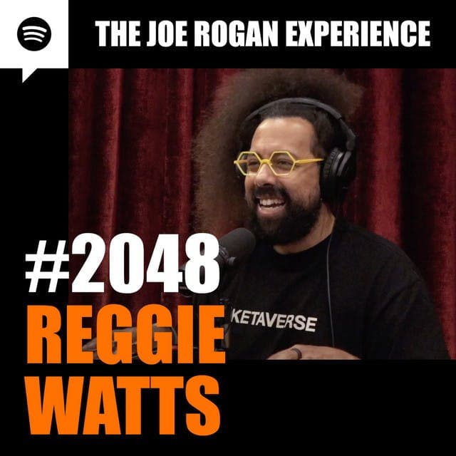 #2048 - Reggie Watts artwork