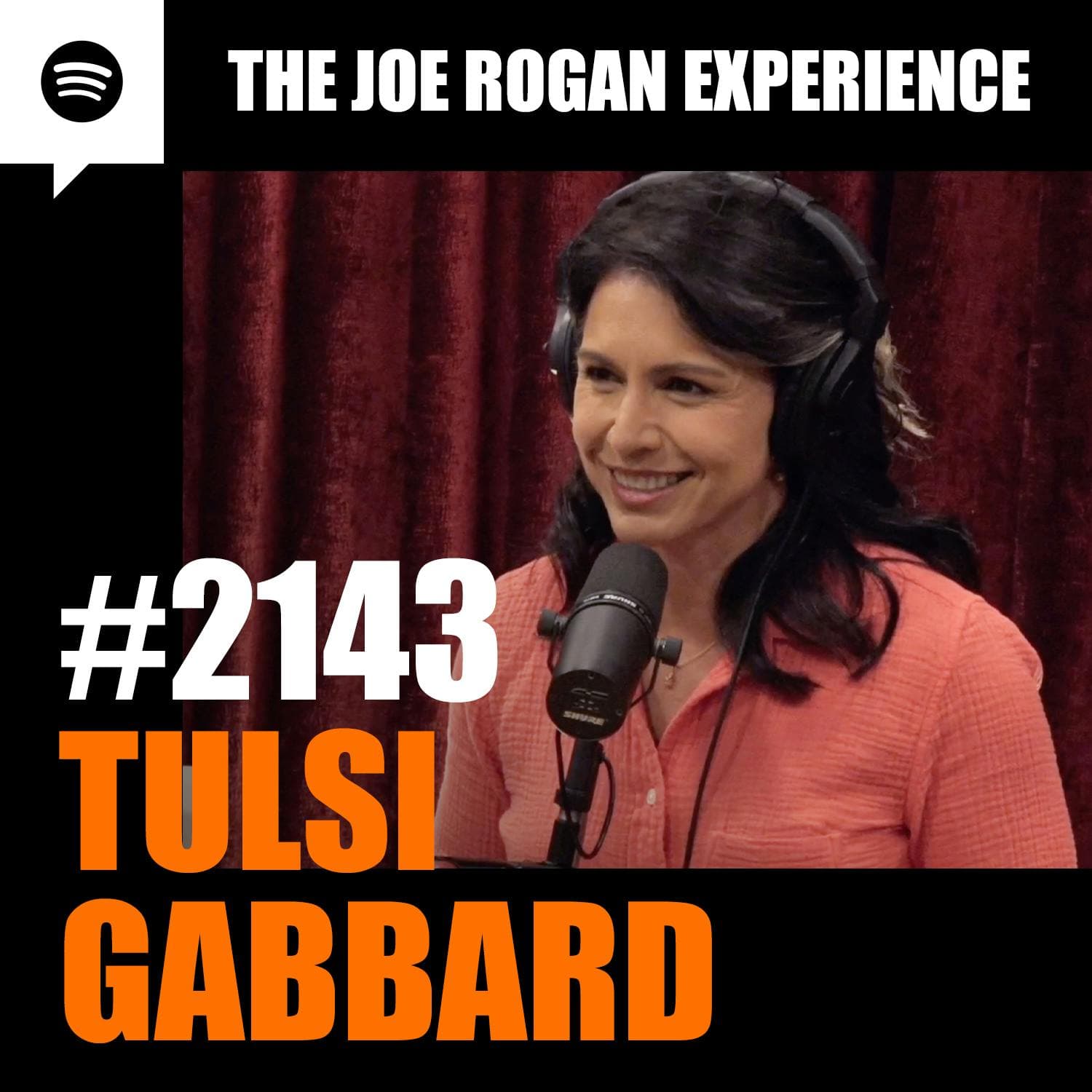 #2143 - Tulsi Gabbard artwork