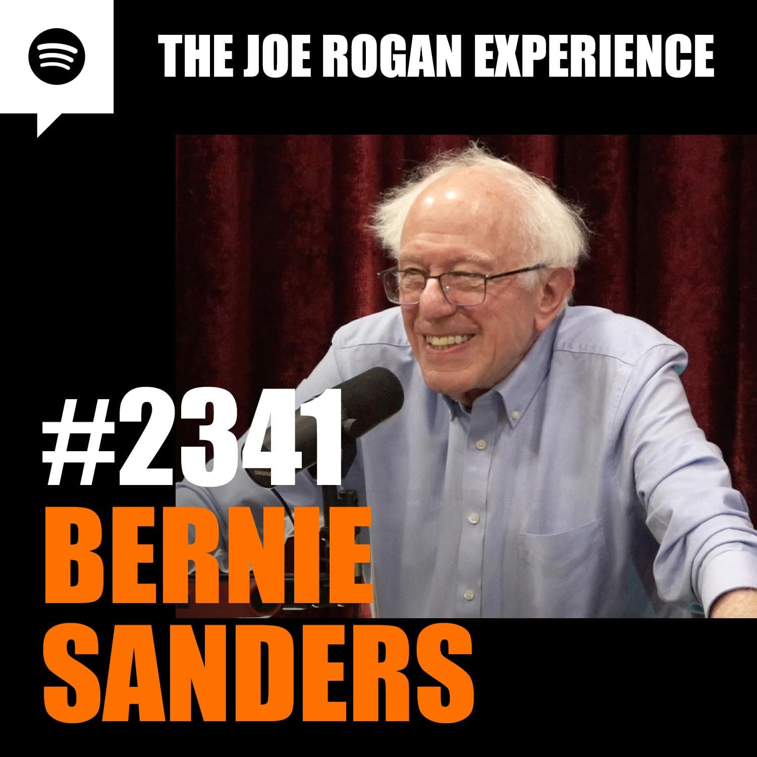 #2341 - Bernie Sanders artwork