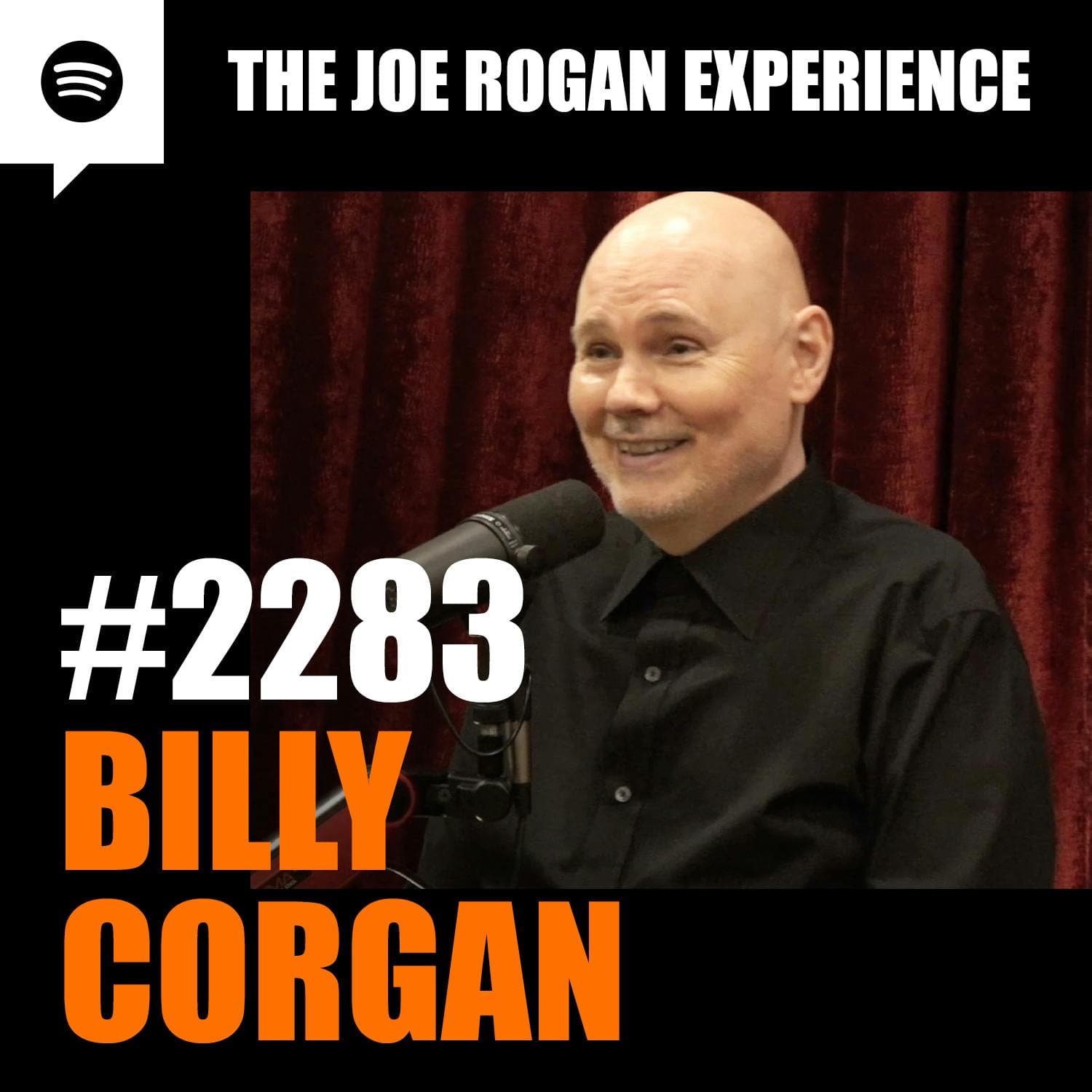 #2283 - Billy Corgan artwork