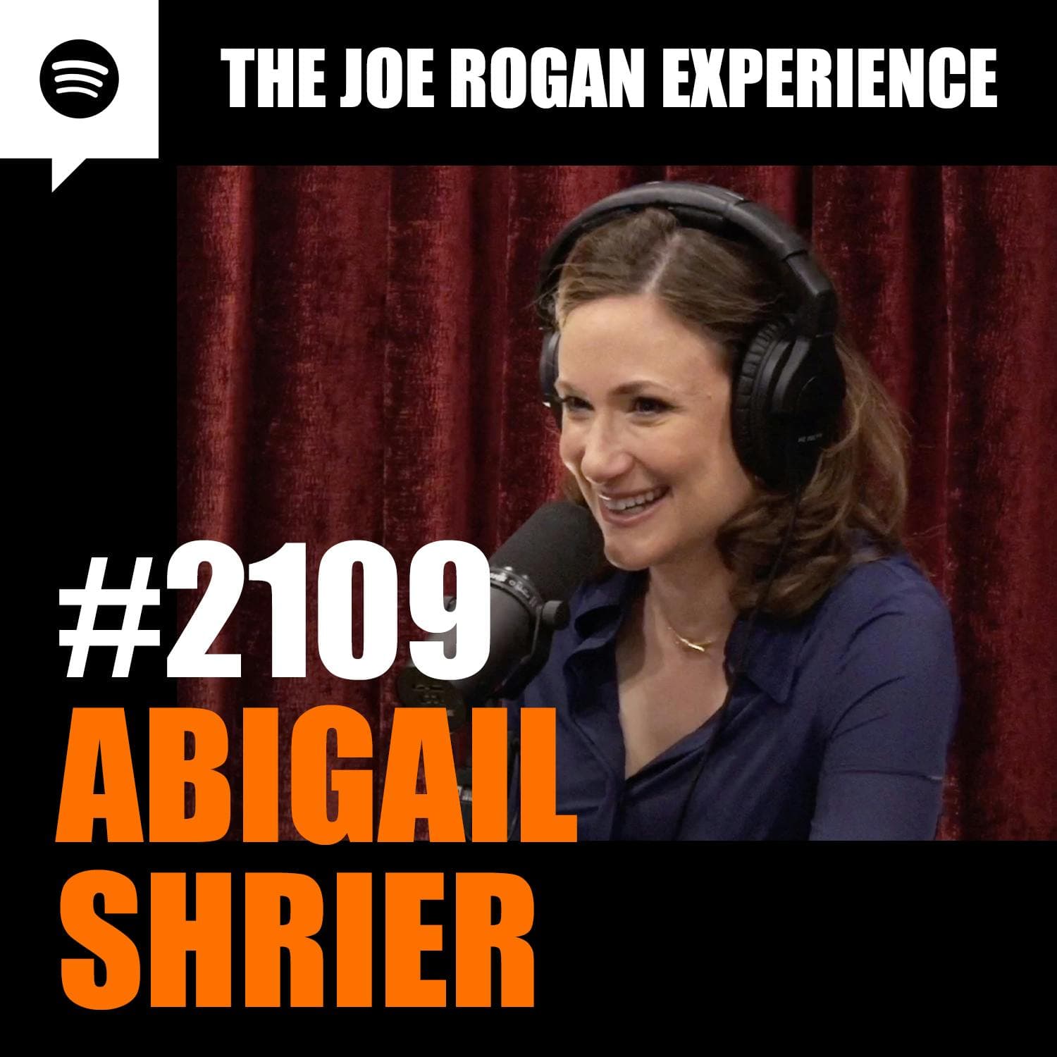 #2109 - Abigail Shrier artwork