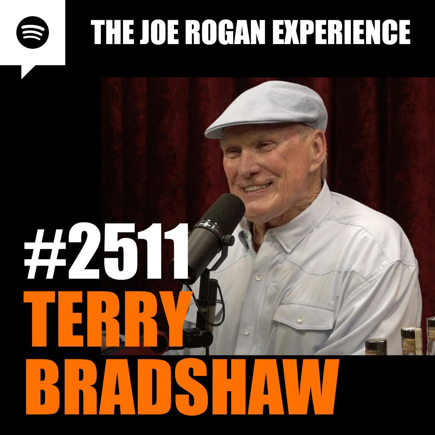 #2511 - Terry Bradshaw artwork