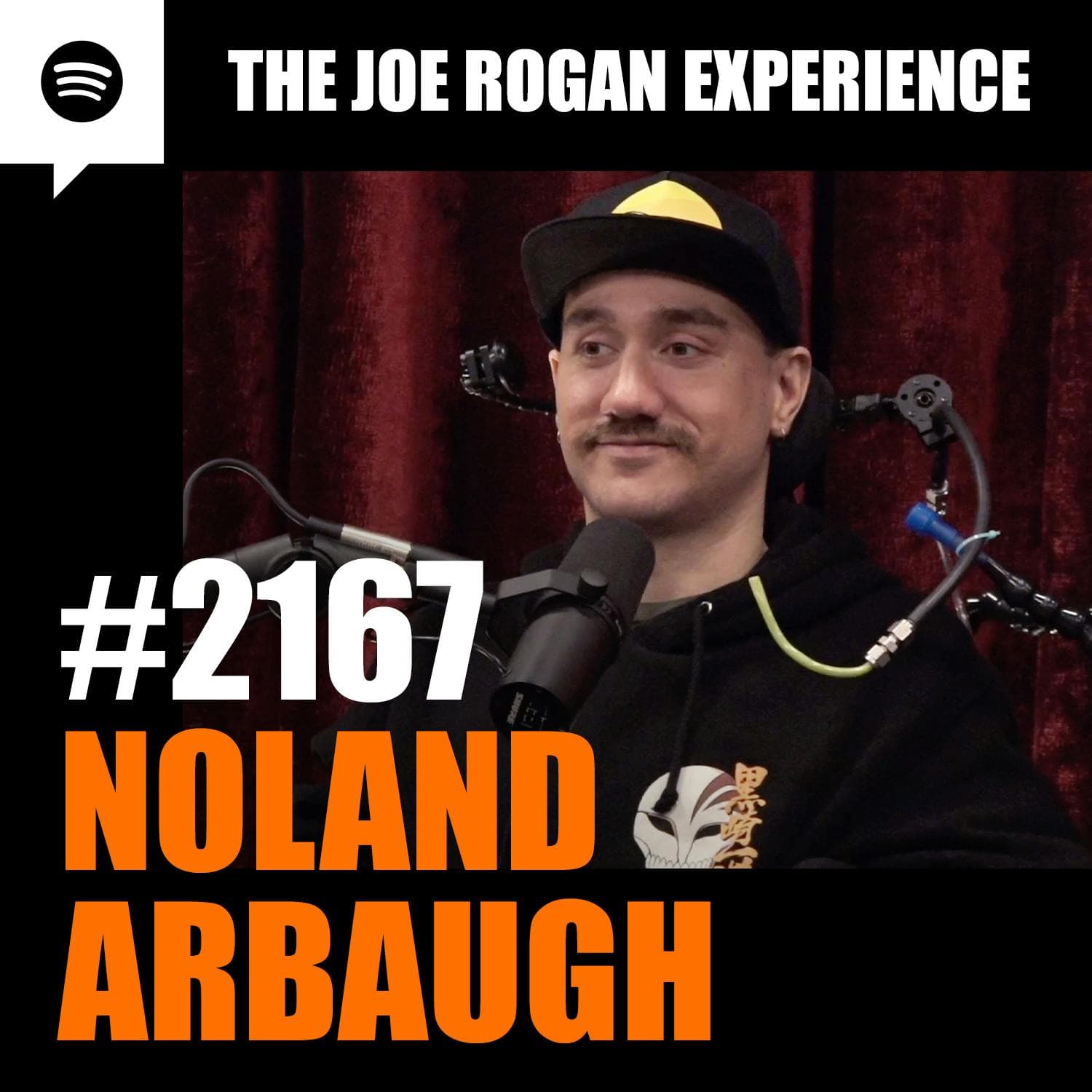 #2167 - Noland Arbaugh artwork