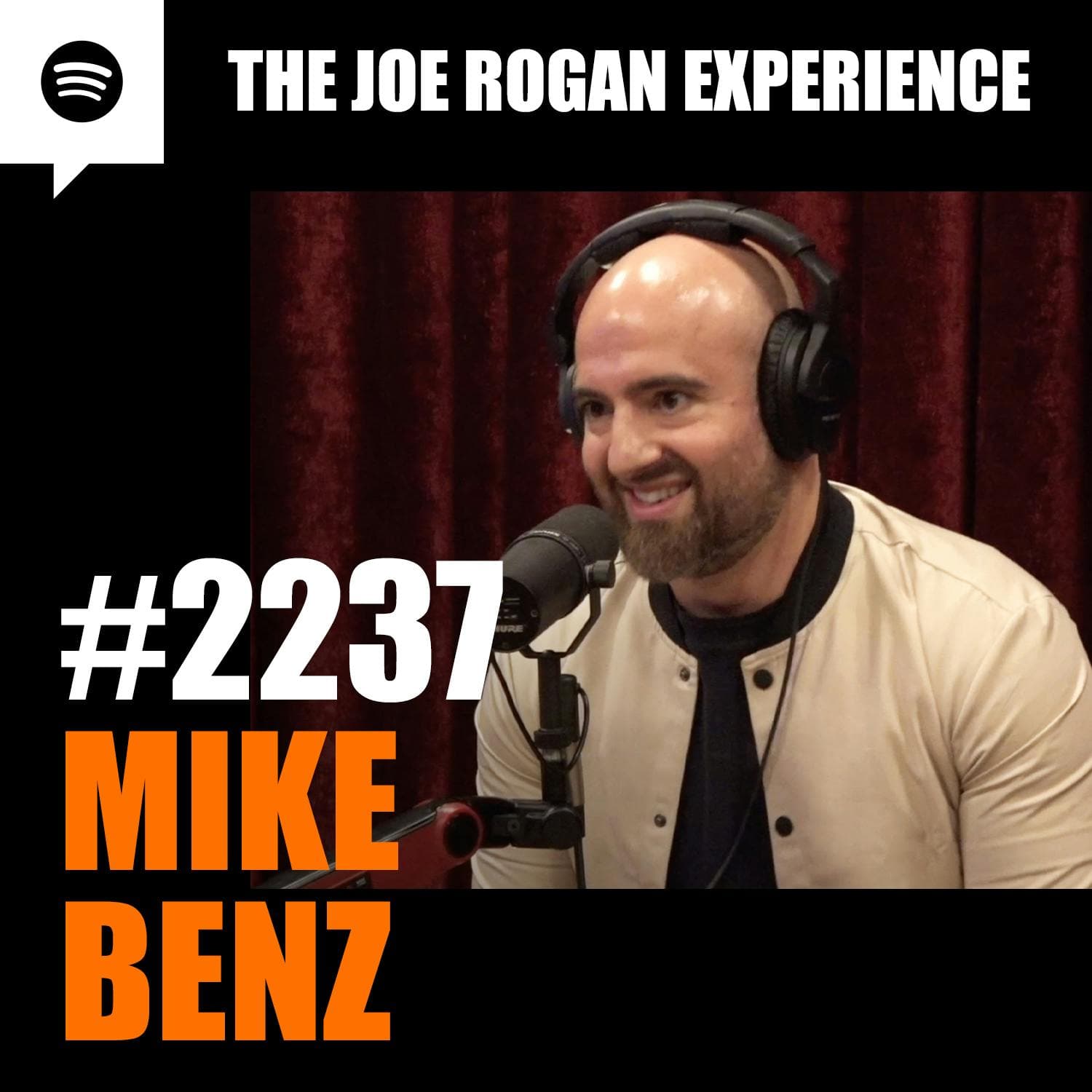 #2237 - Mike Benz artwork
