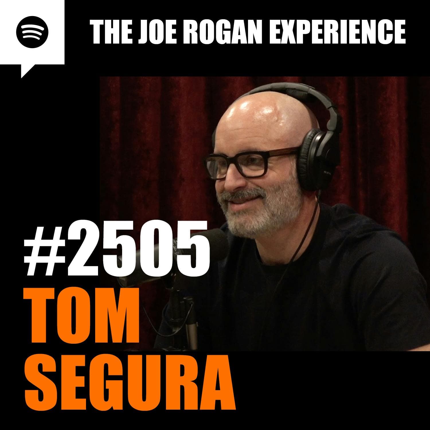 #2505 - Tom Segura artwork