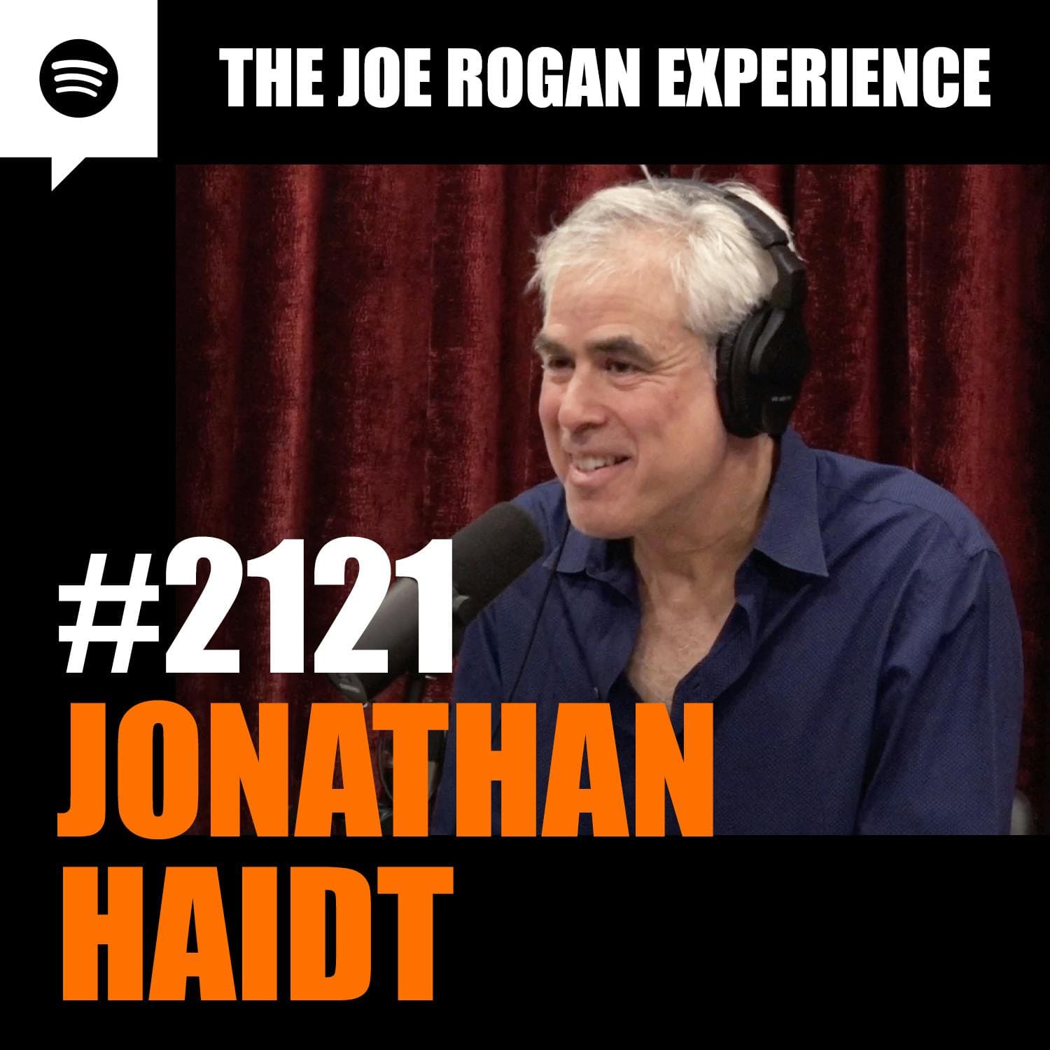 #2121 - Jonathan Haidt artwork