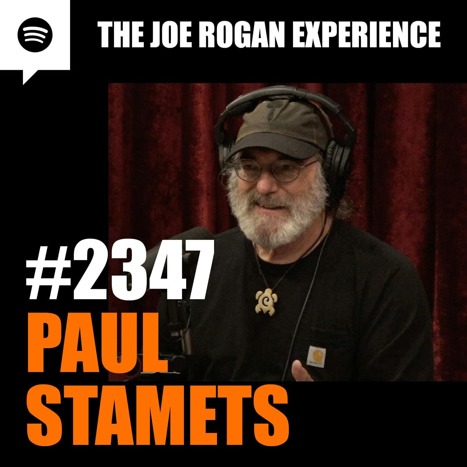 #2347 - Paul Stamets artwork