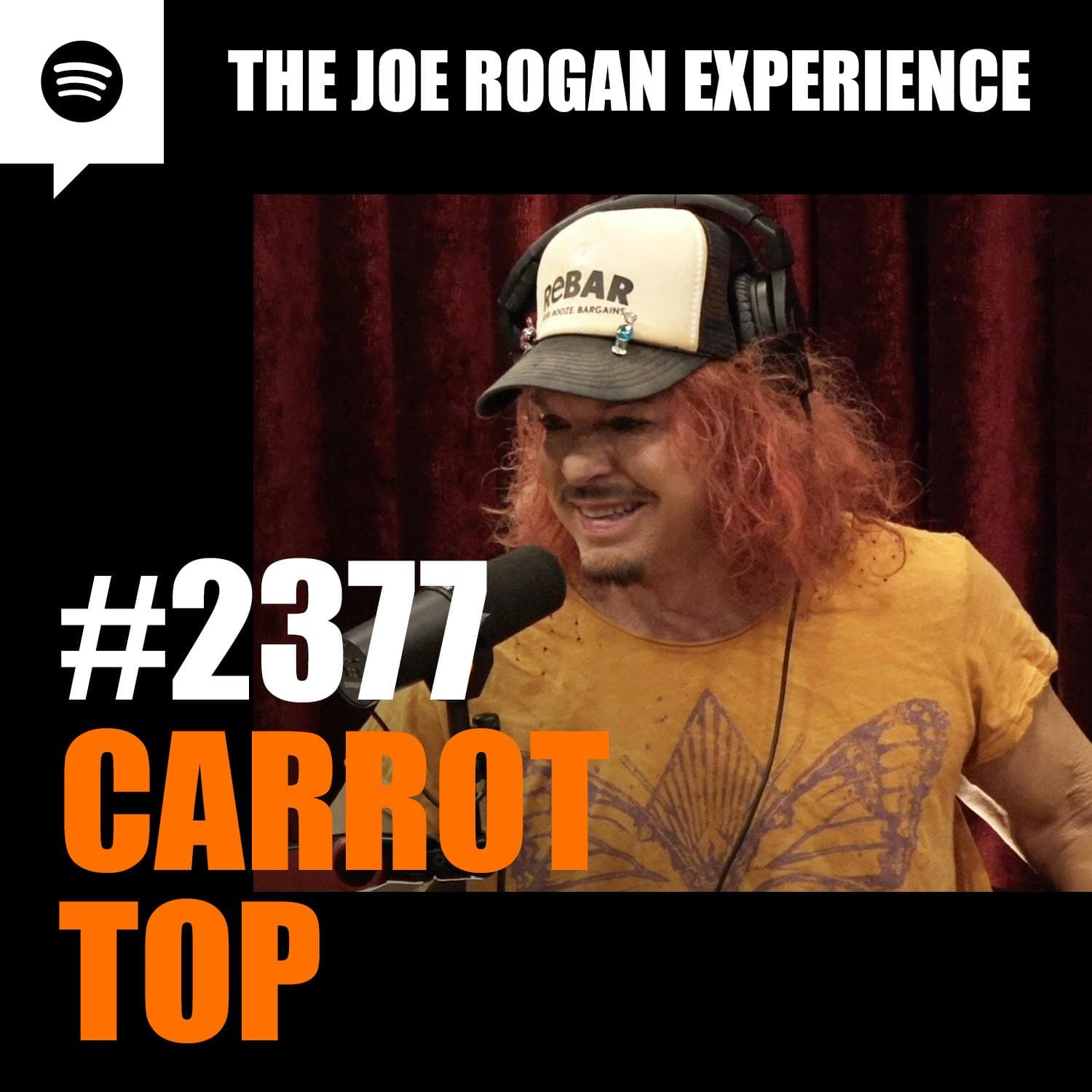 #2377 - Carrot Top artwork
