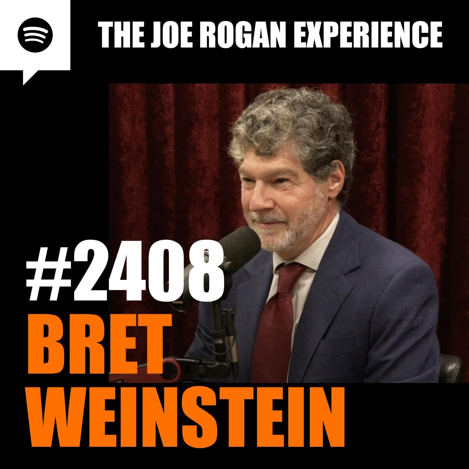 #2408 - Bret Weinstein artwork
