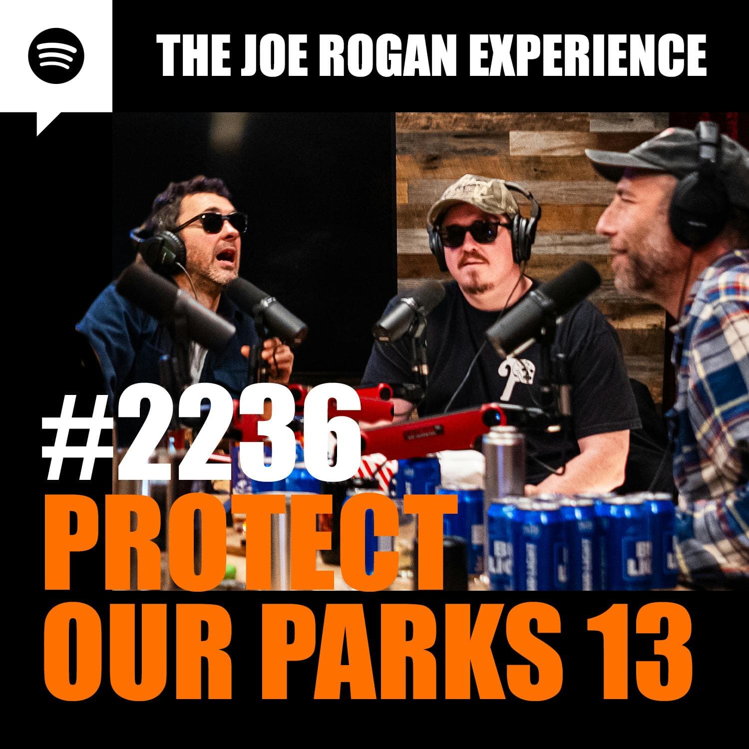 #2236 - Protect Our Parks 13 artwork