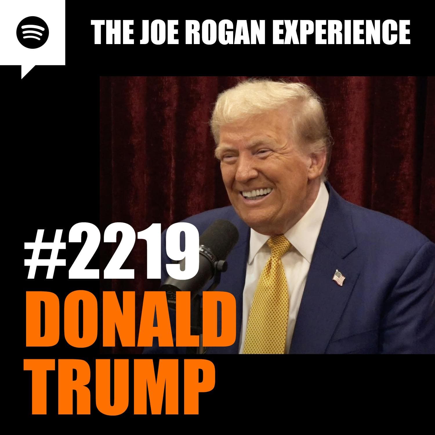 #2219 - Donald Trump artwork