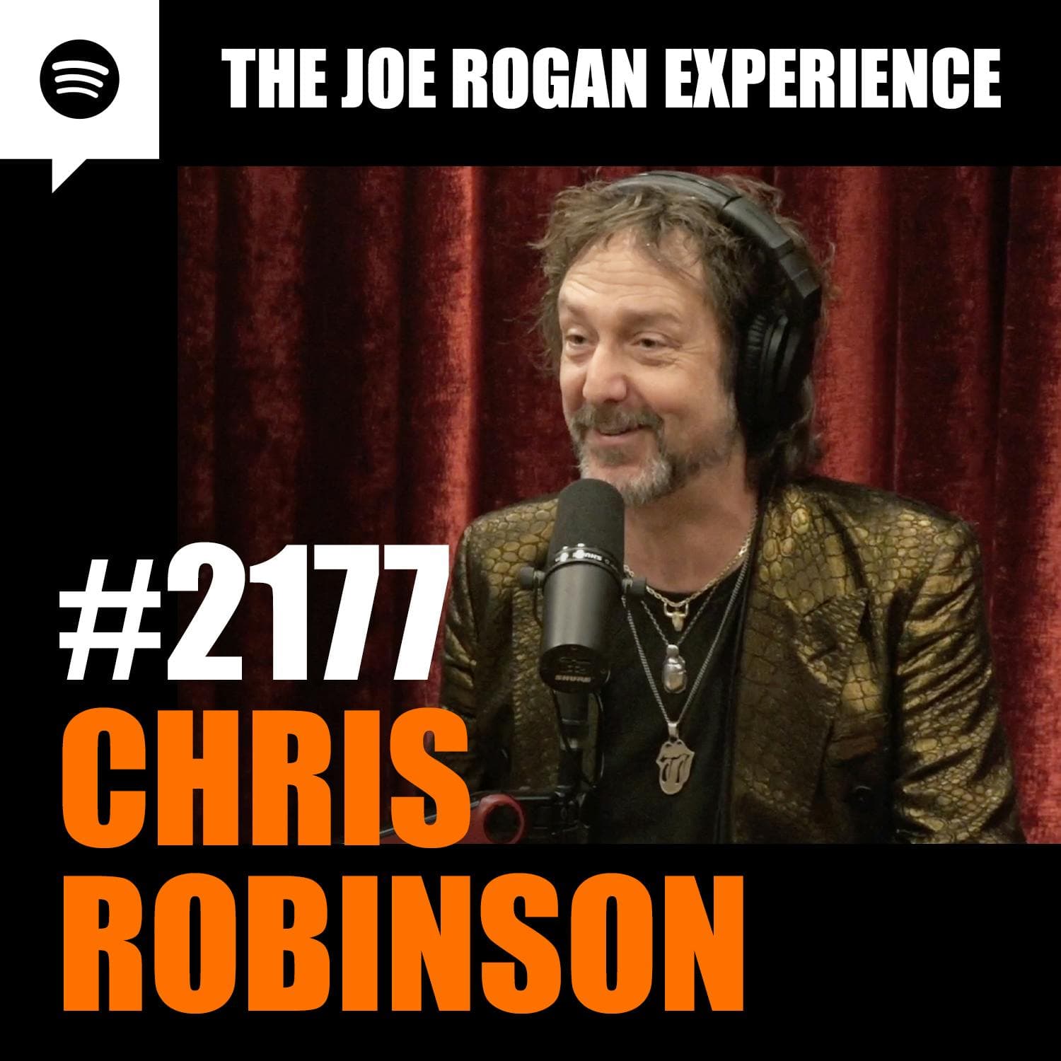#2177 - Chris Robinson artwork