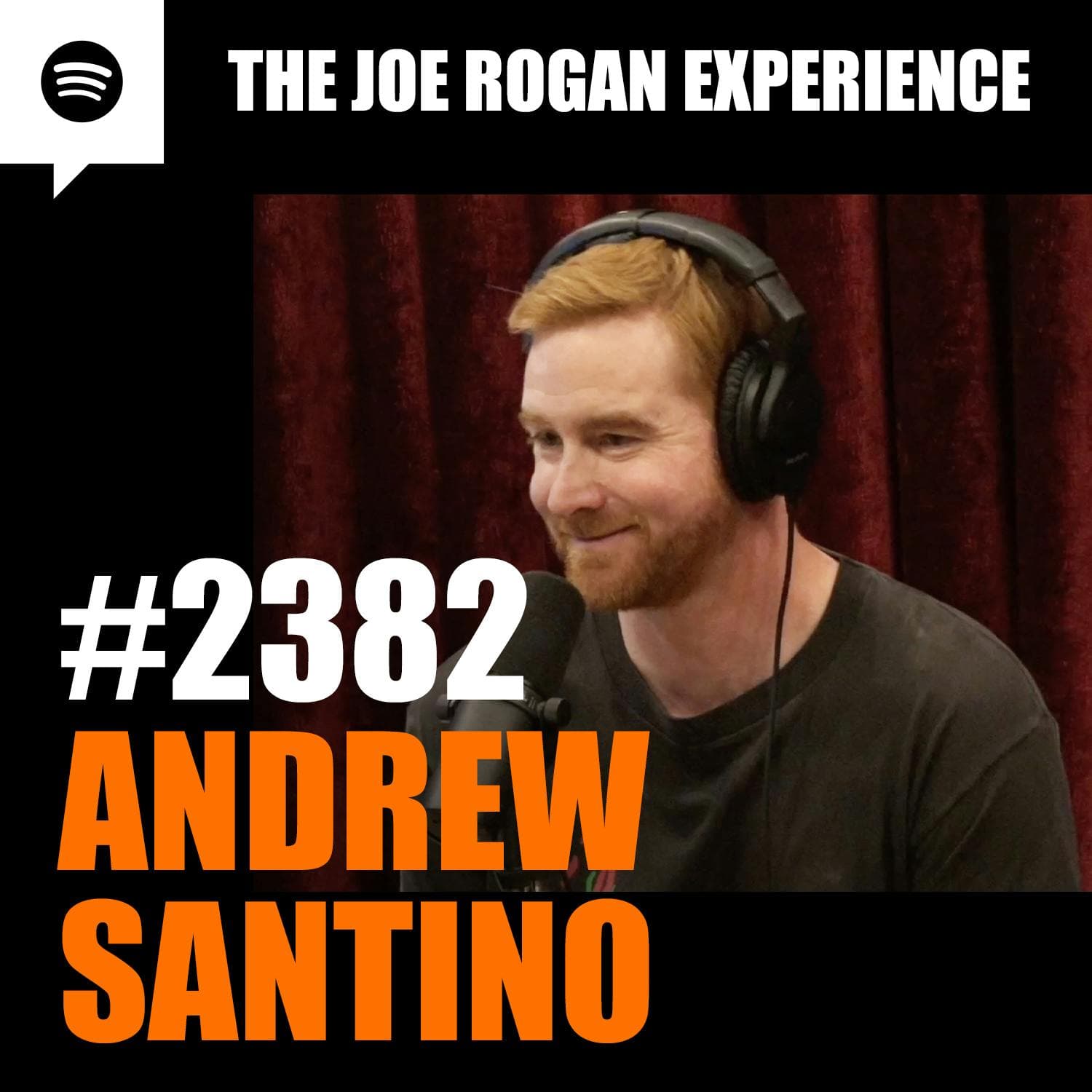 #2382 - Andrew Santino artwork