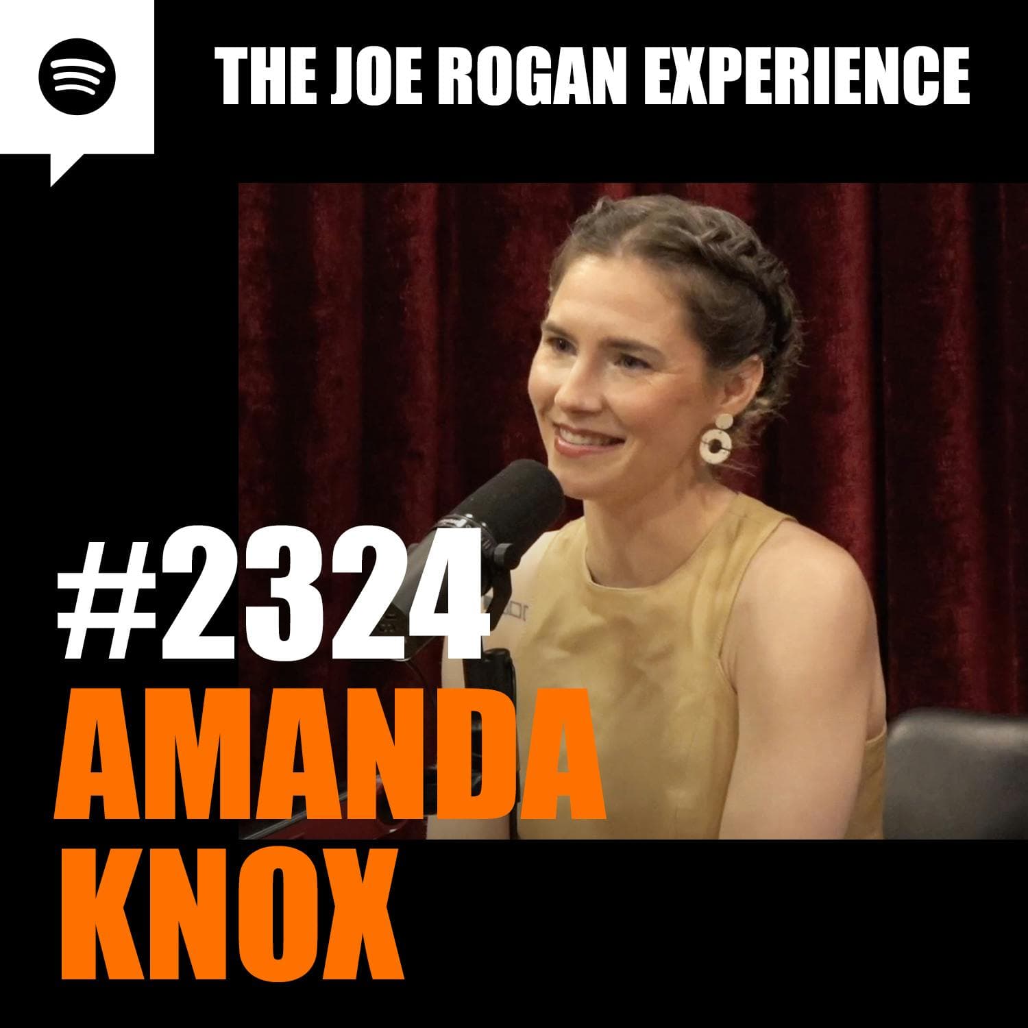 #2324 - Amanda Knox artwork