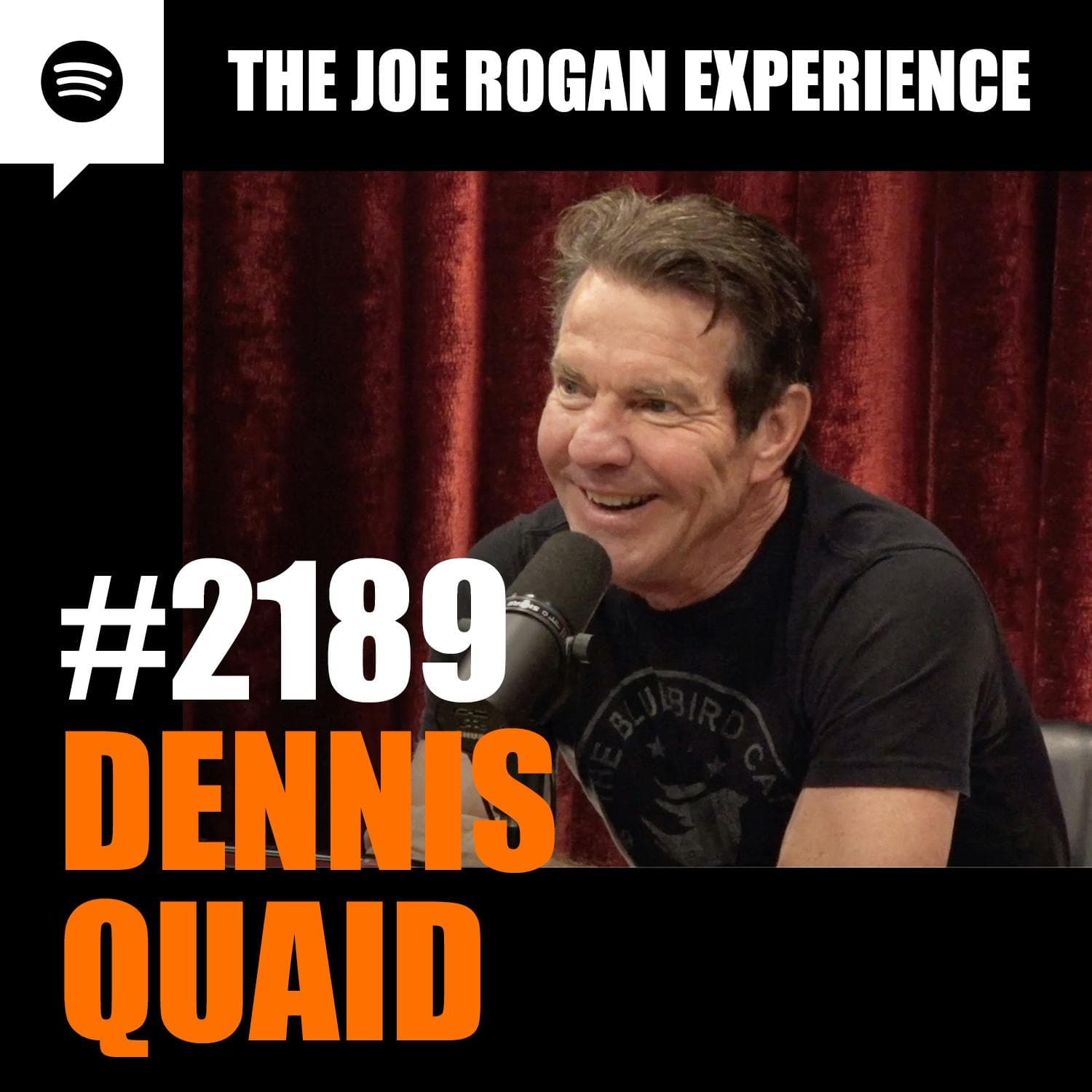 #2189 - Dennis Quaid artwork