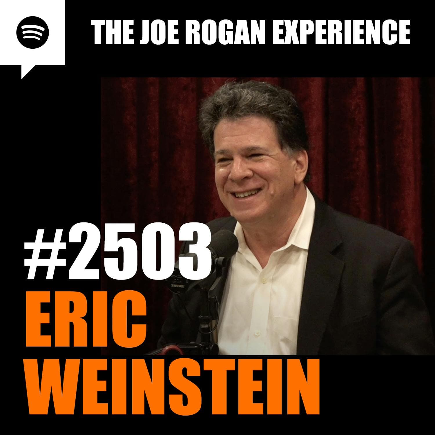 #2503 - Eric Weinstein artwork