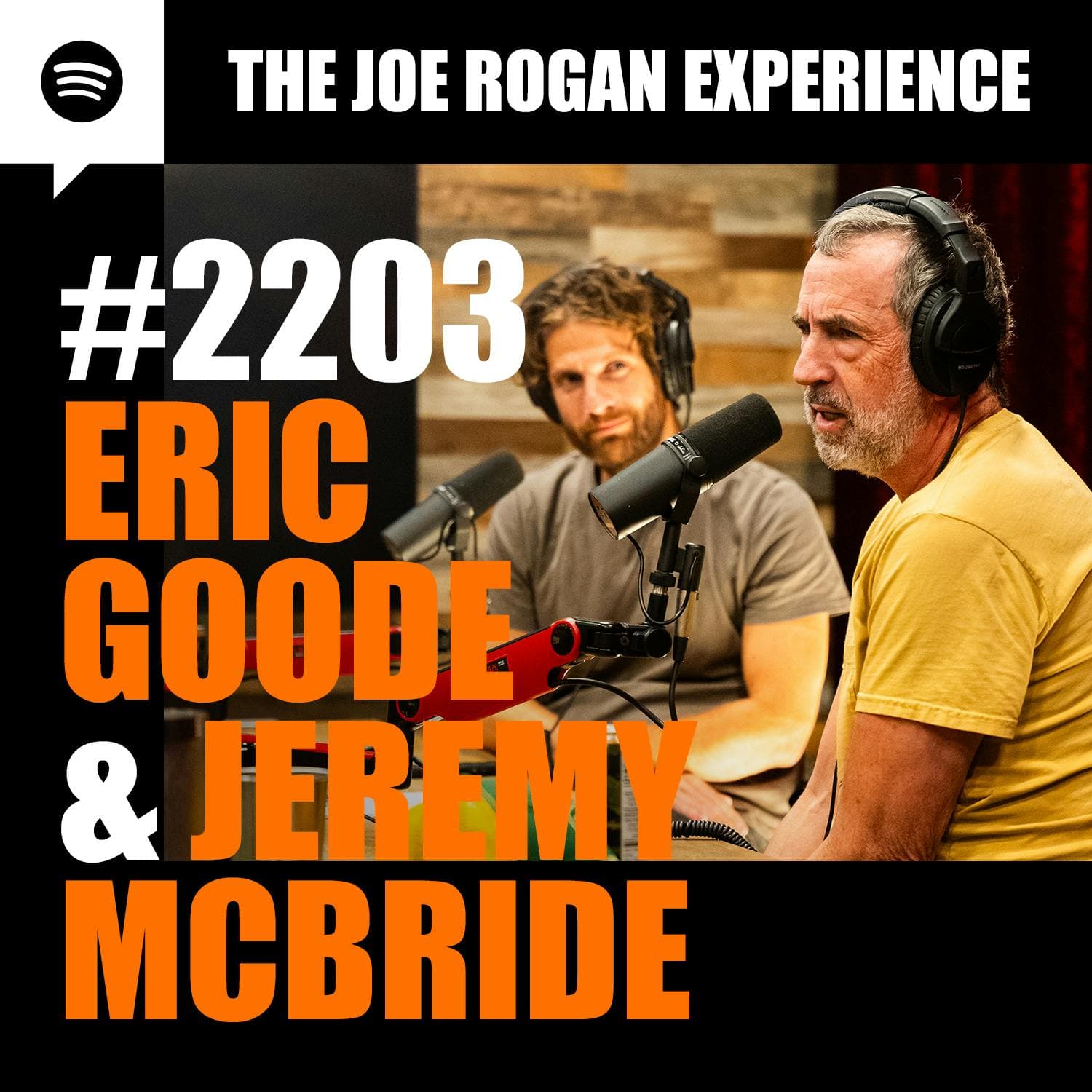 #2203 - Eric Goode & Jeremy McBride artwork