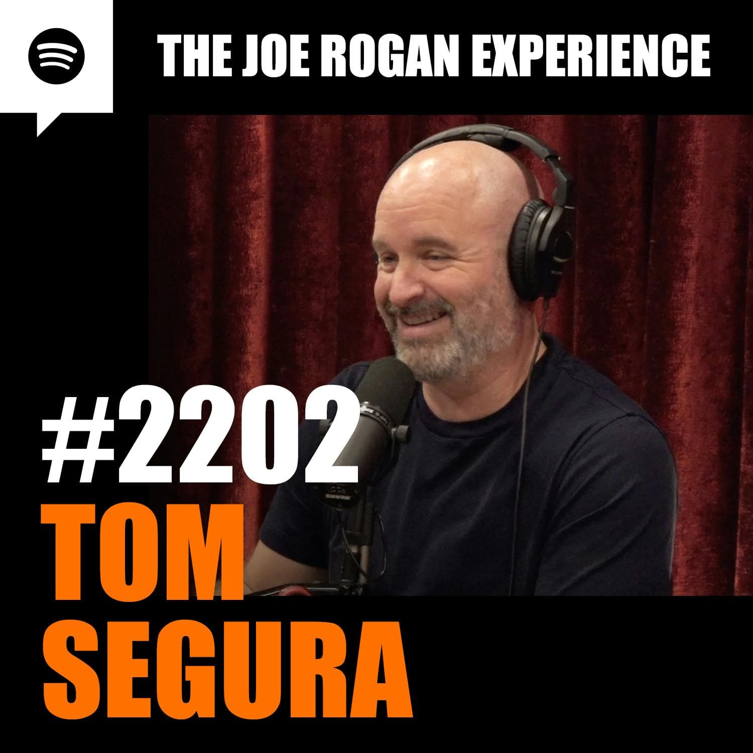 #2202 - Tom Segura artwork