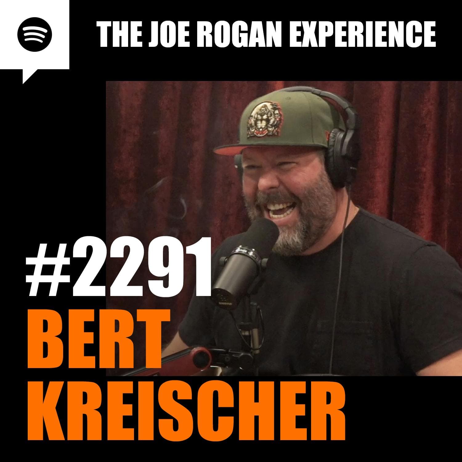 #2291 - Bert Kreischer artwork