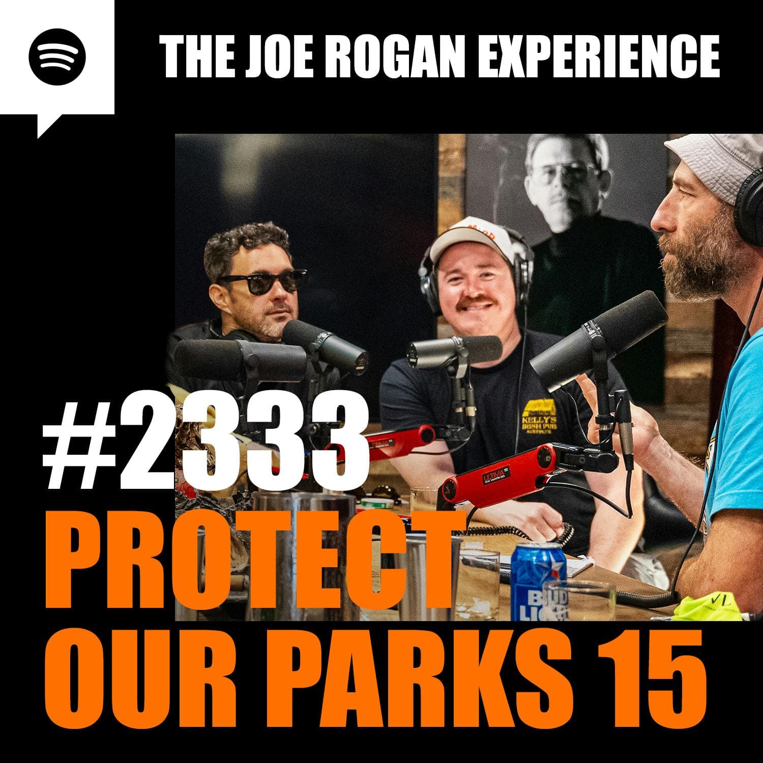 #2333 - Protect Our Parks 15 artwork