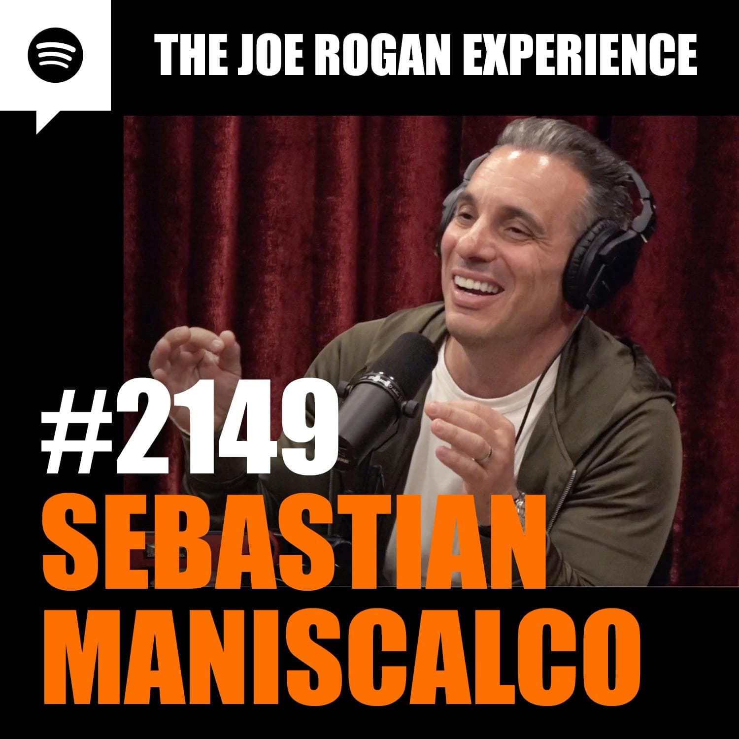 #2149 - Sebastian Maniscalco artwork