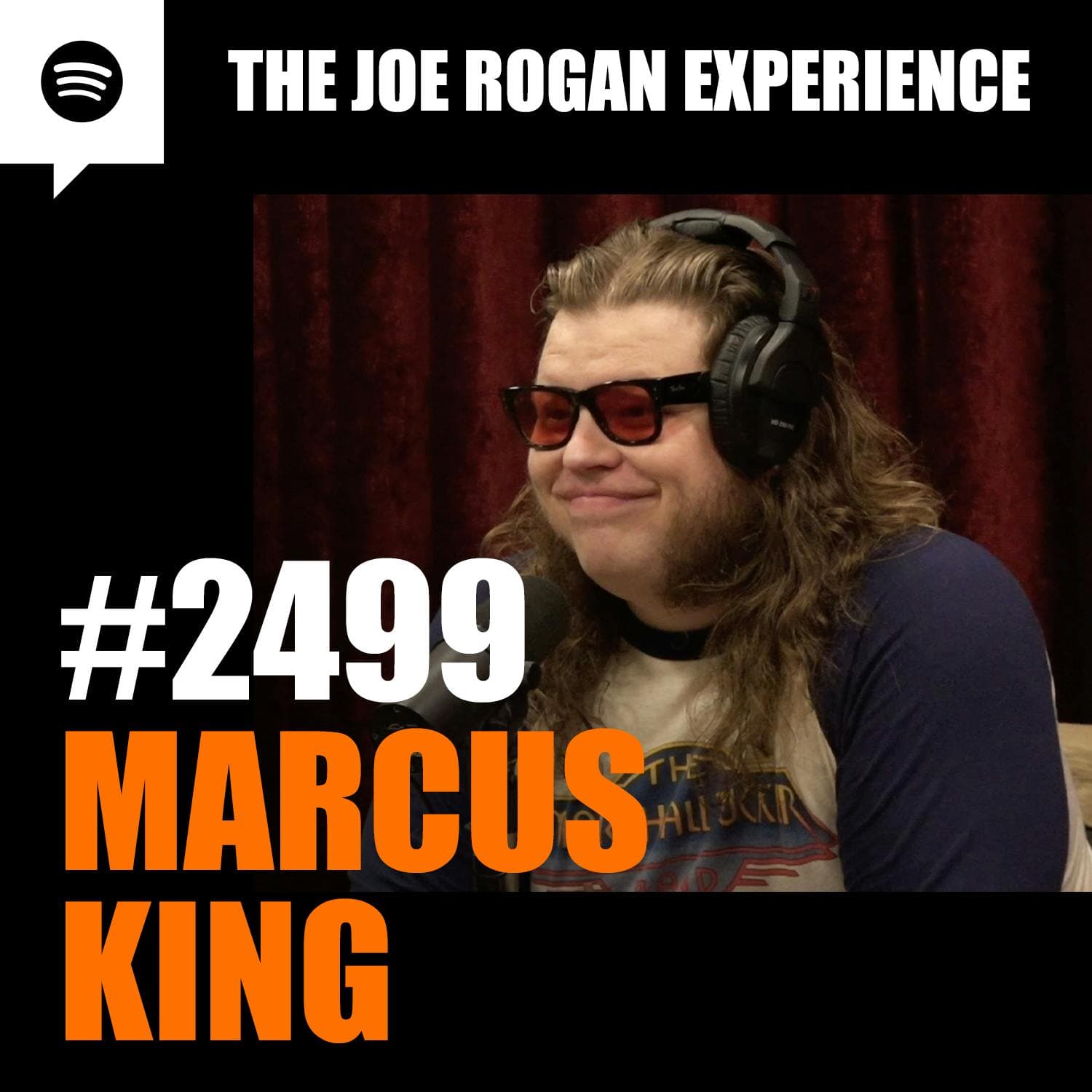 #2499 - Marcus King artwork