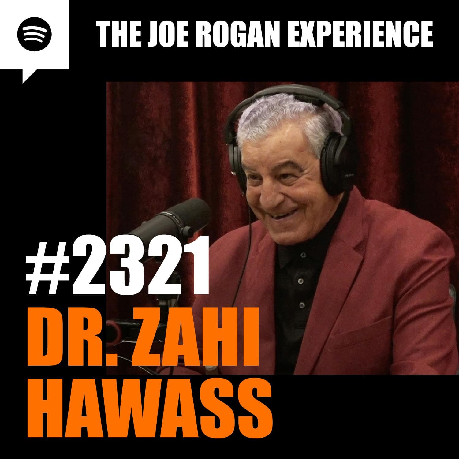 #2321 - Dr. Zahi Hawass artwork