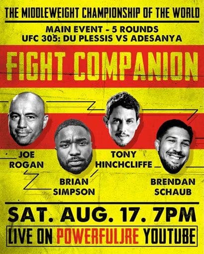 Fight Companion - August 17, 2024 artwork
