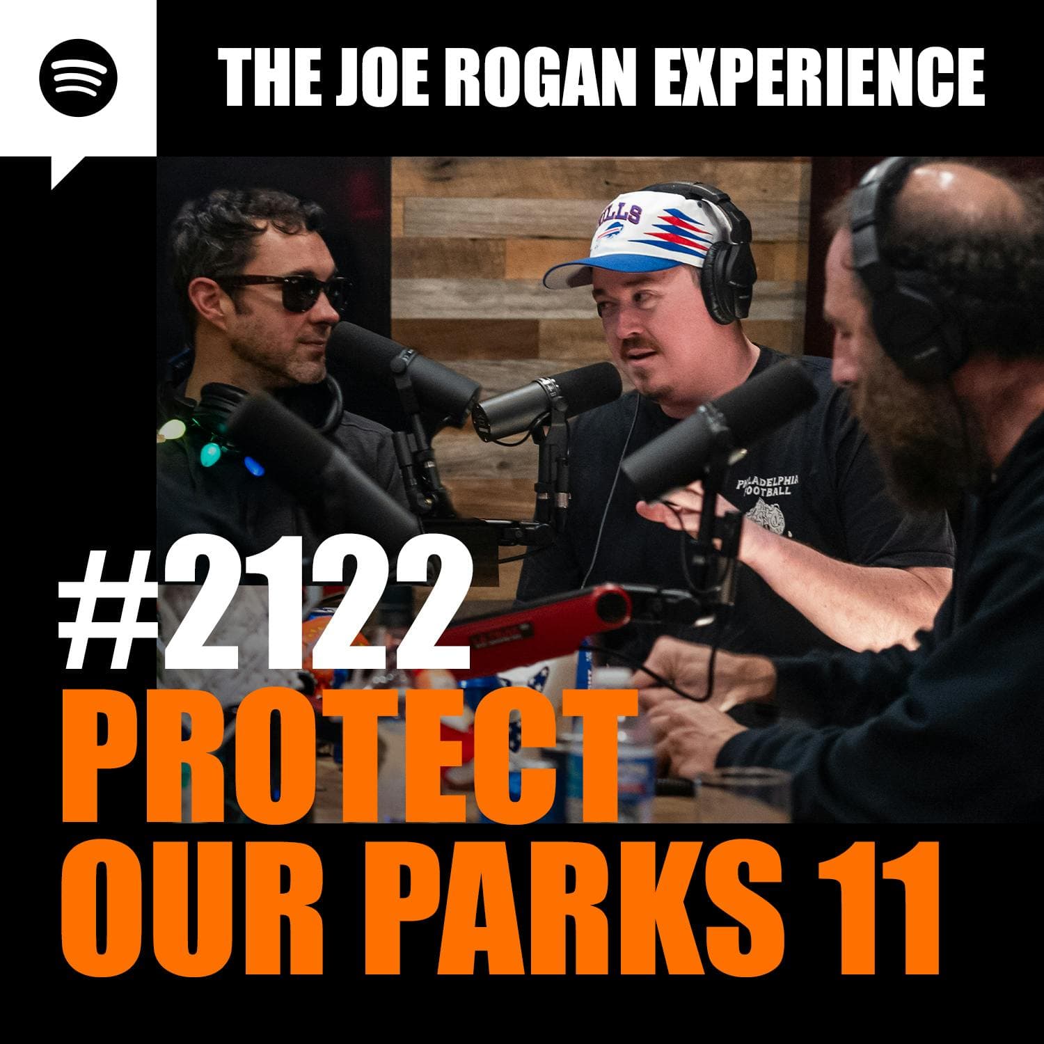 #2122 - Protect Our Parks 11 artwork