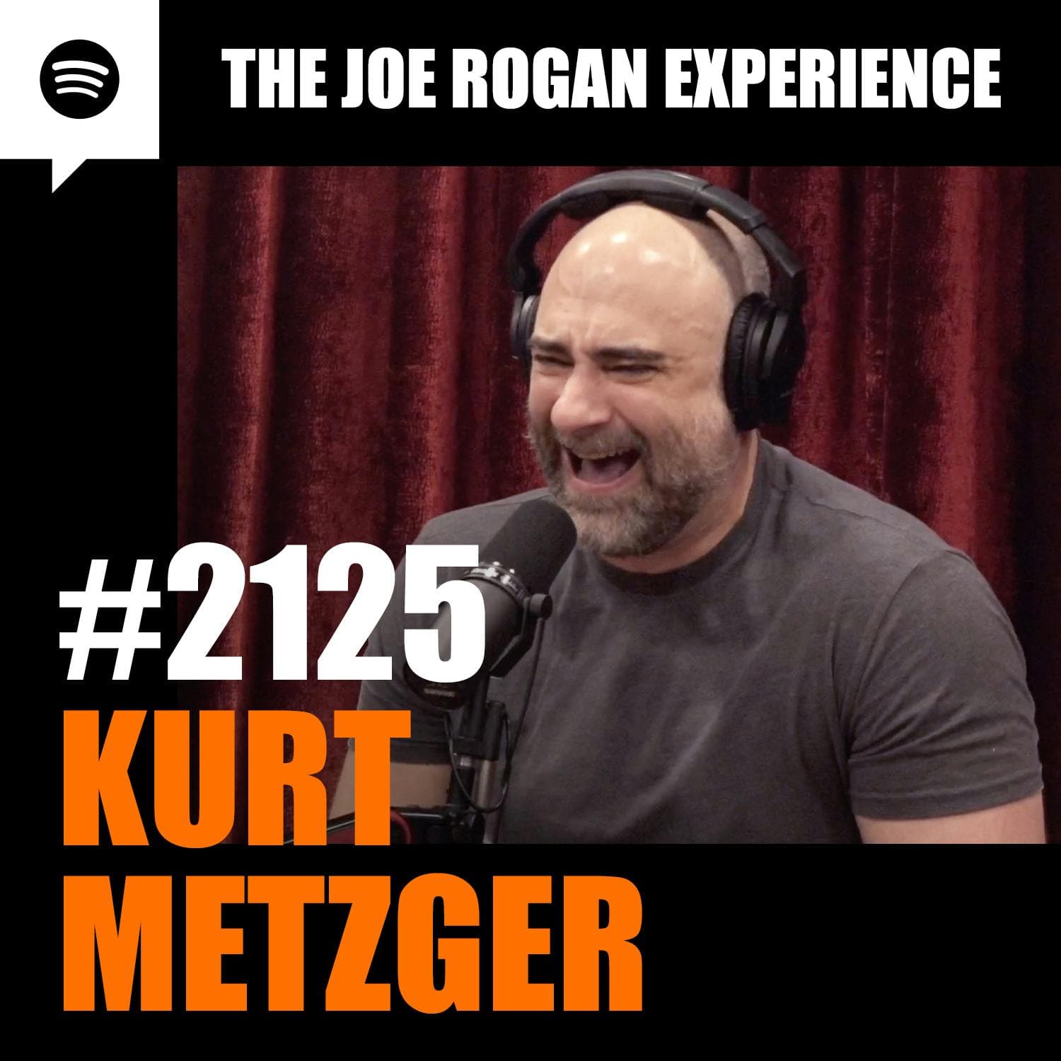 #2125 - Kurt Metzger artwork