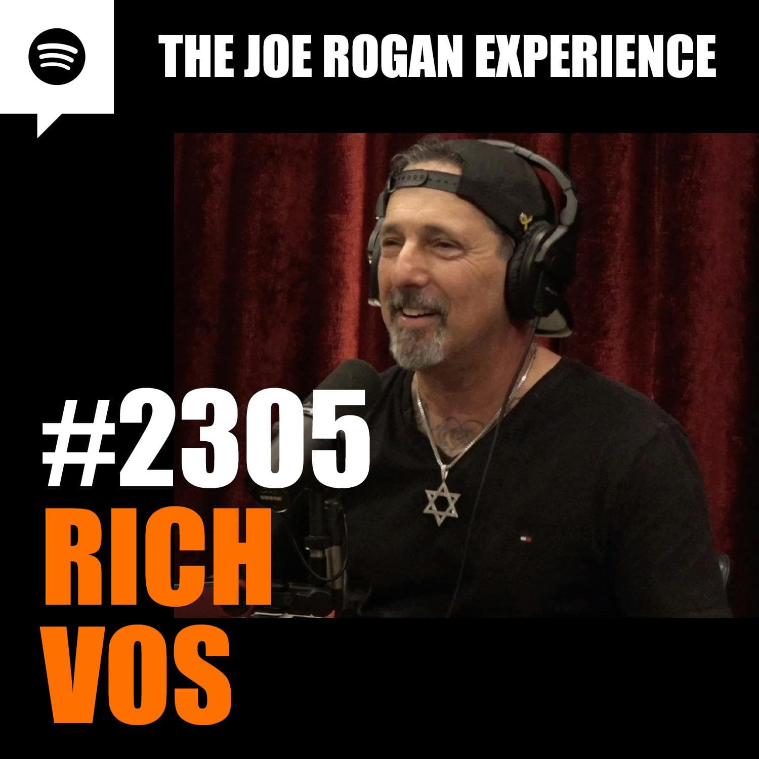 #2305 - Rich Vos artwork
