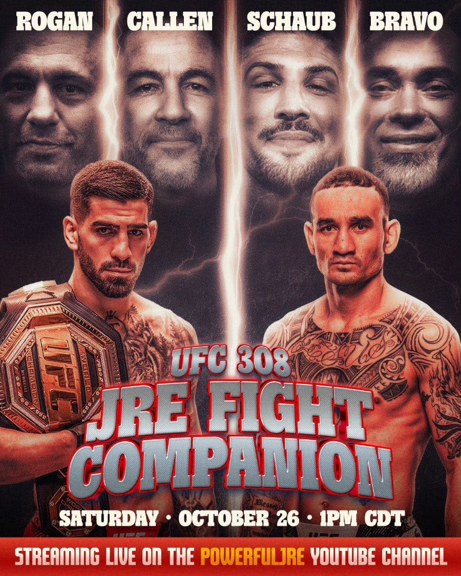 Fight Companion - October 26, 2024 artwork