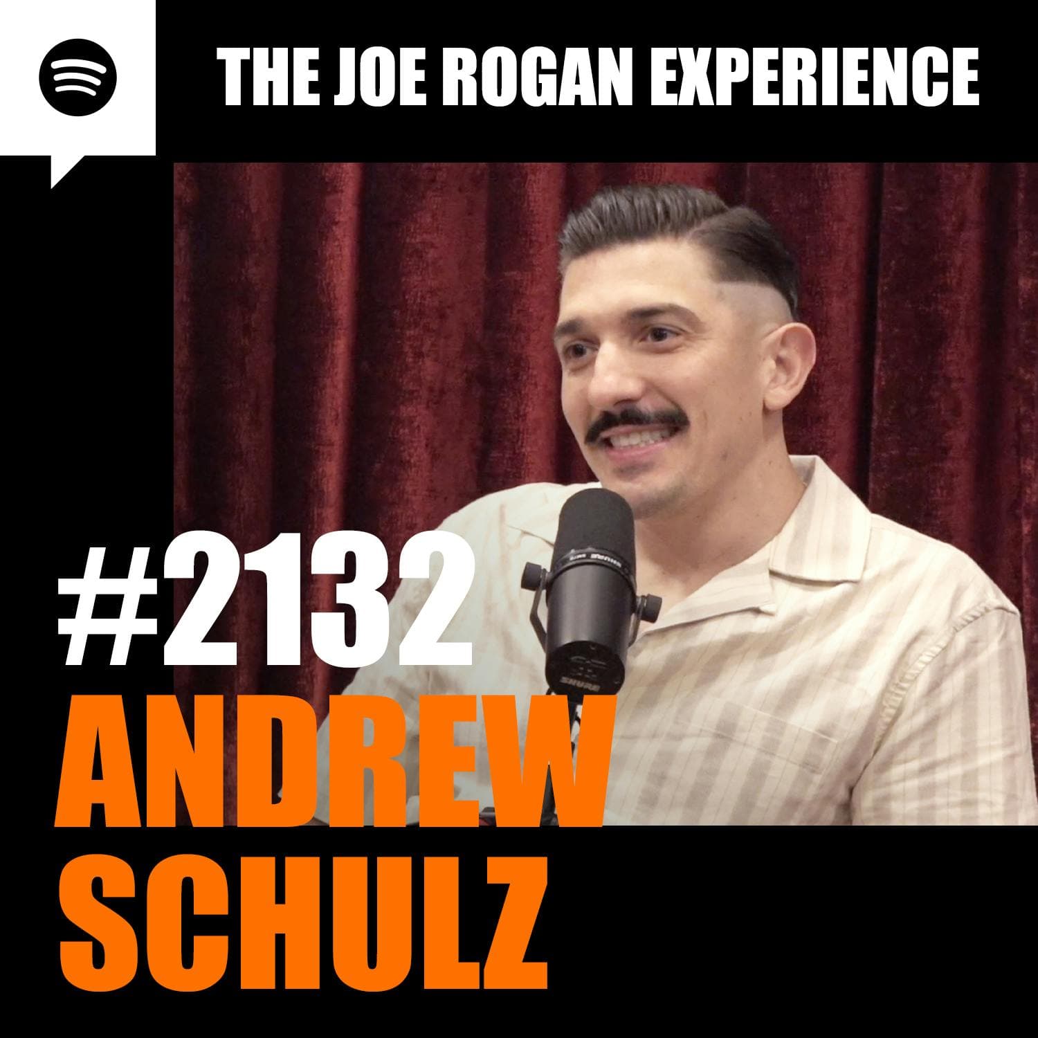 #2132 - Andrew Schulz artwork
