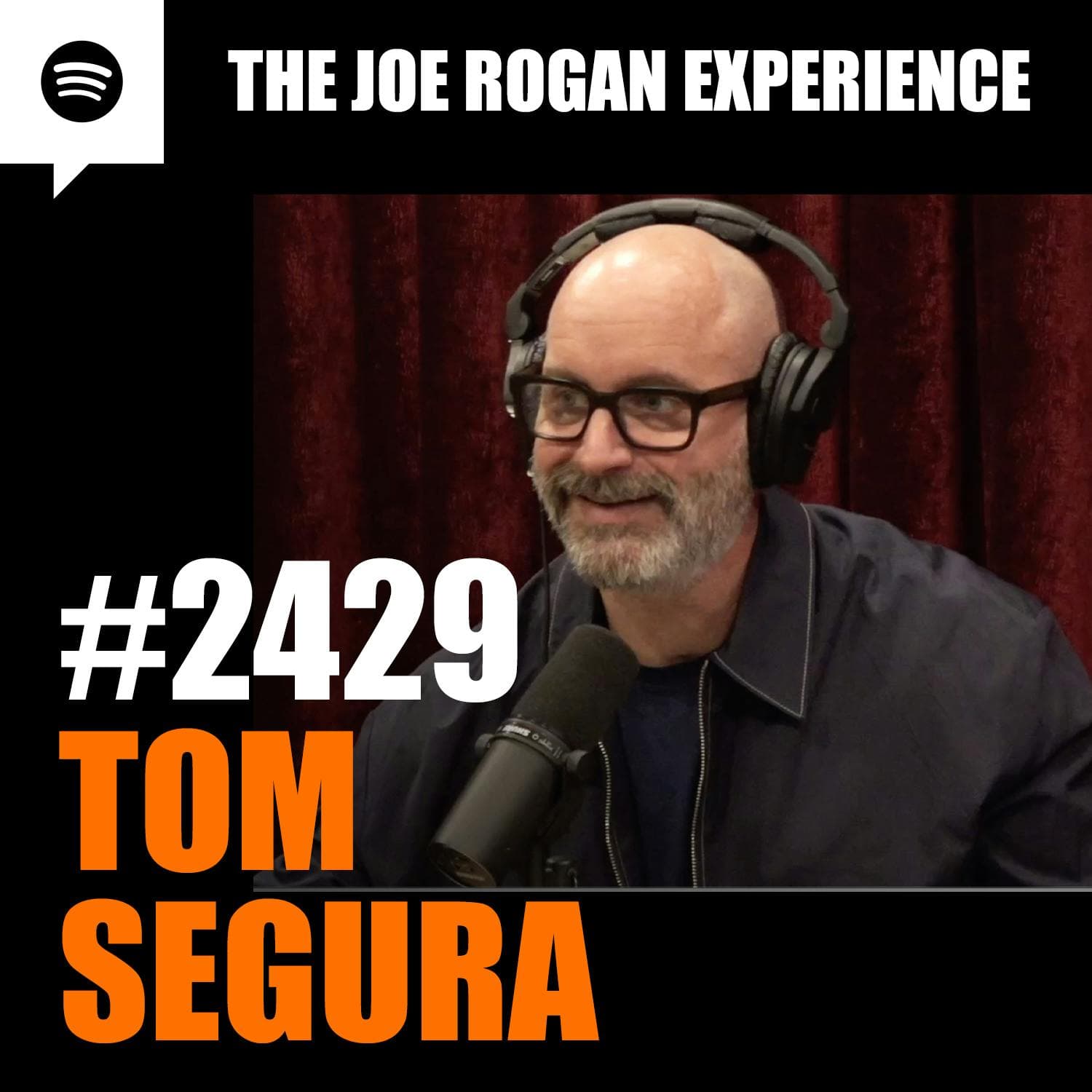 #2429 - Tom Segura artwork