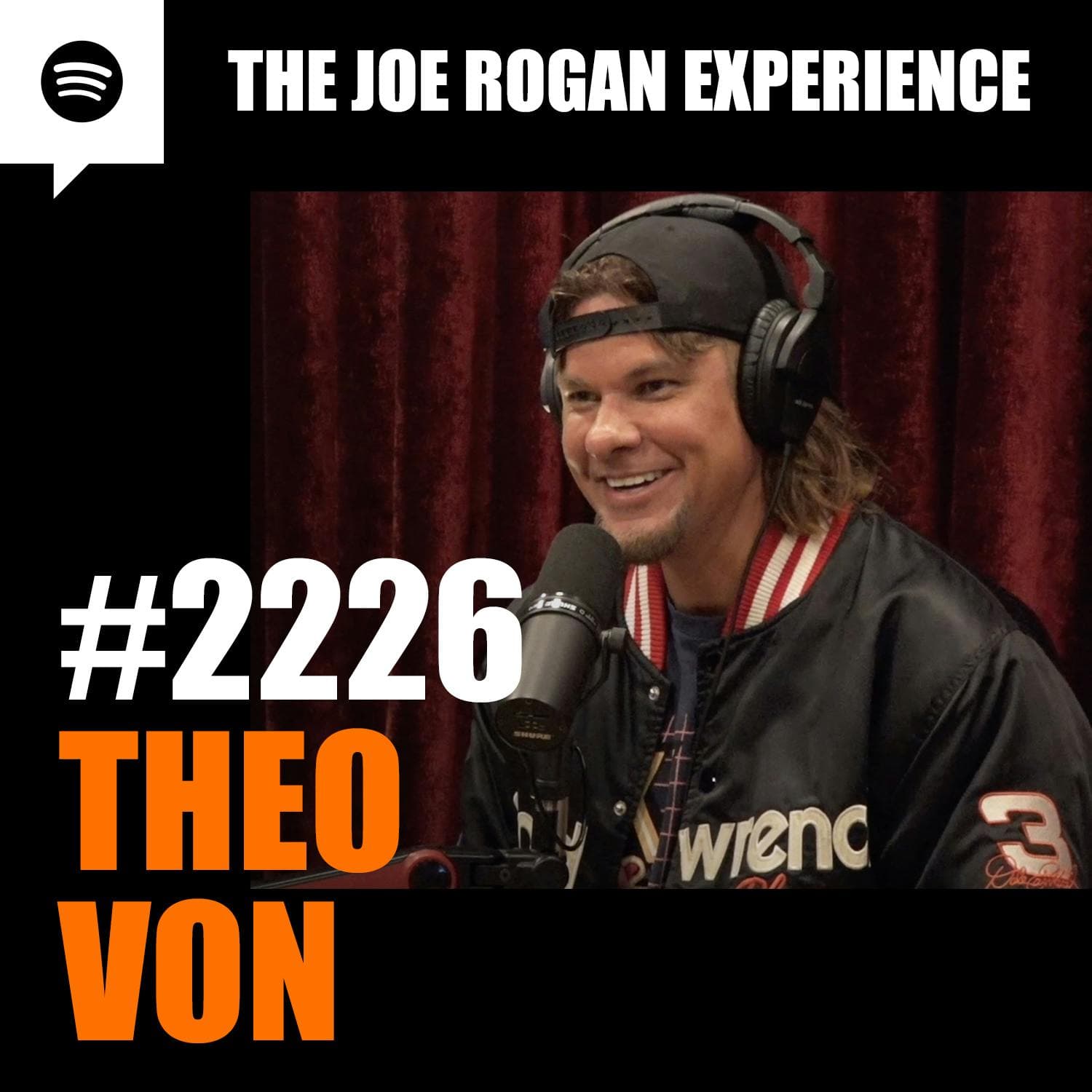 #2226 - Theo Von artwork