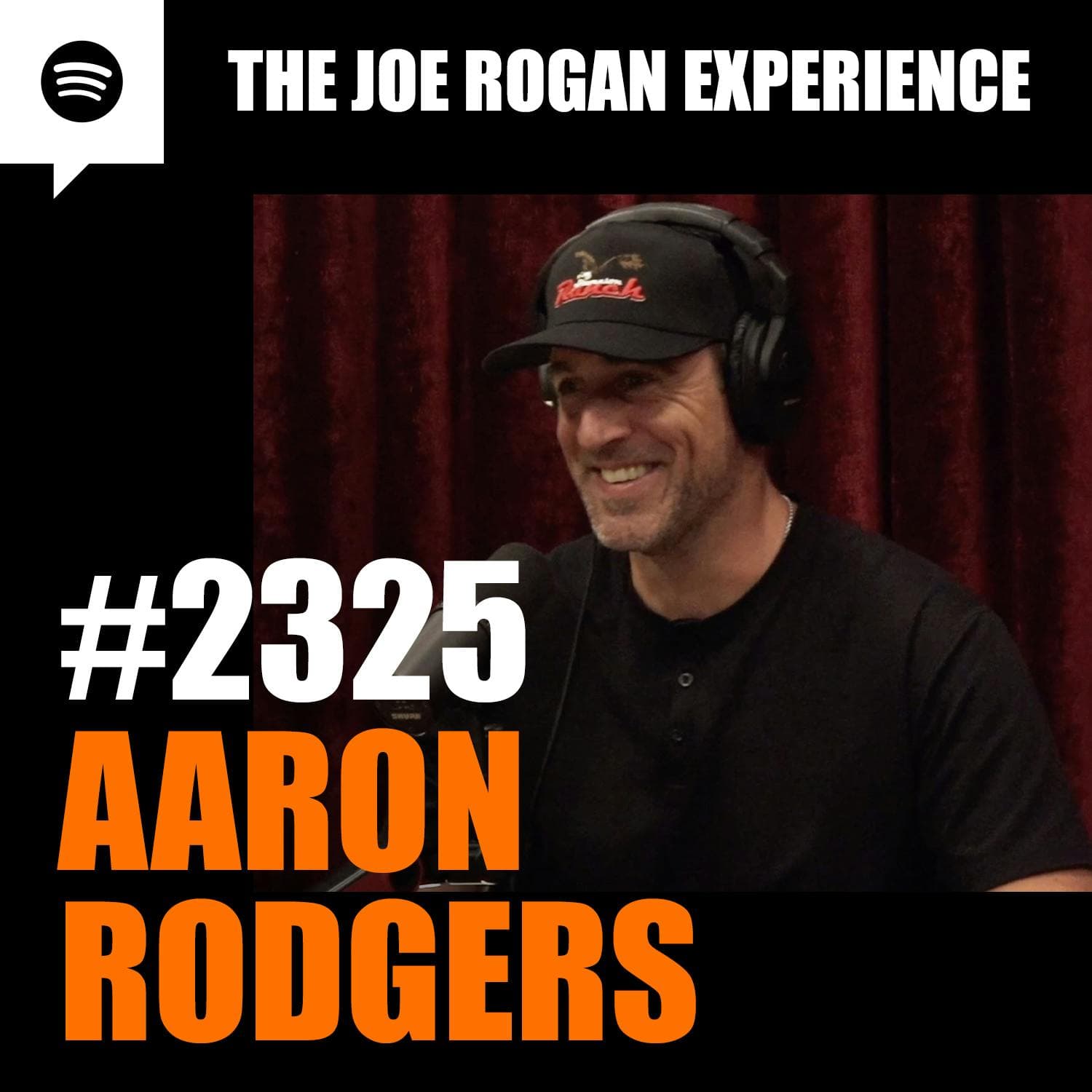 #2325 - Aaron Rodgers artwork