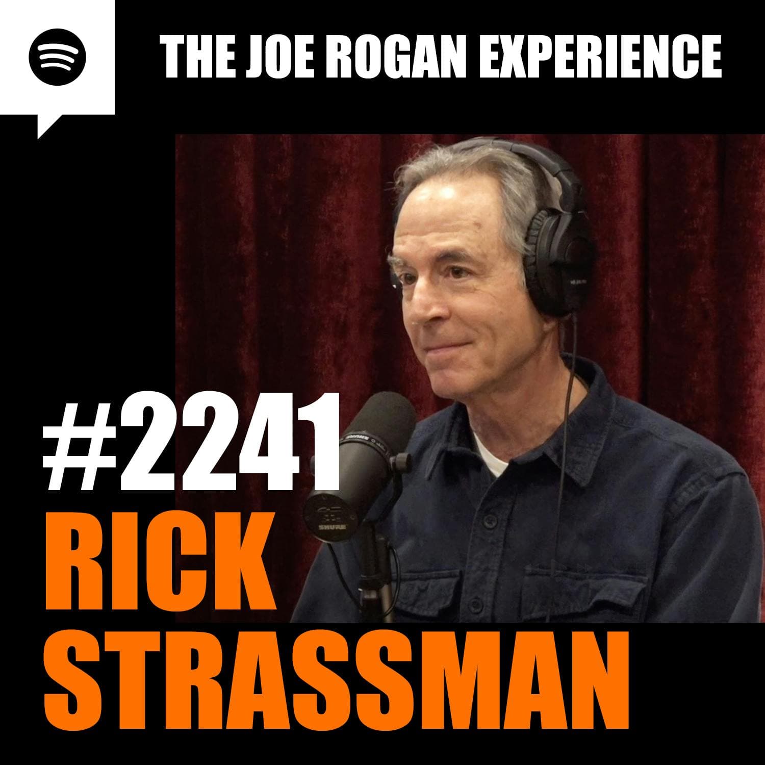 #2241 - Rick Strassman artwork