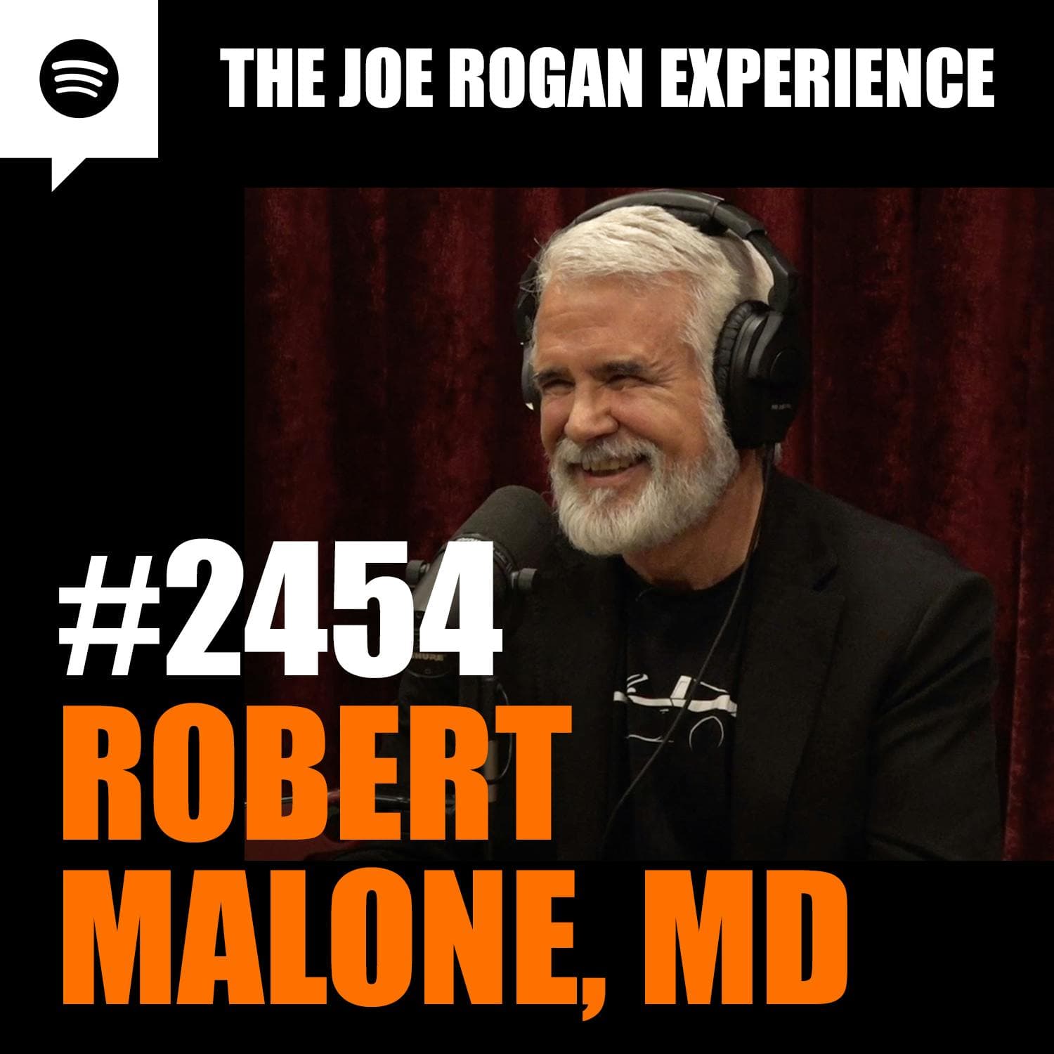 #2454 - Robert Malone, MD artwork