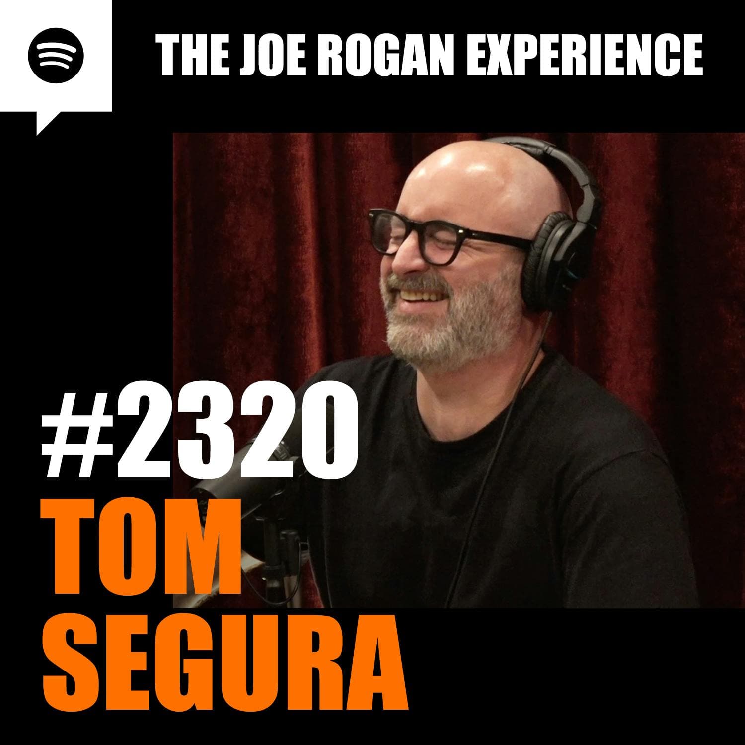 #2320 - Tom Segura artwork